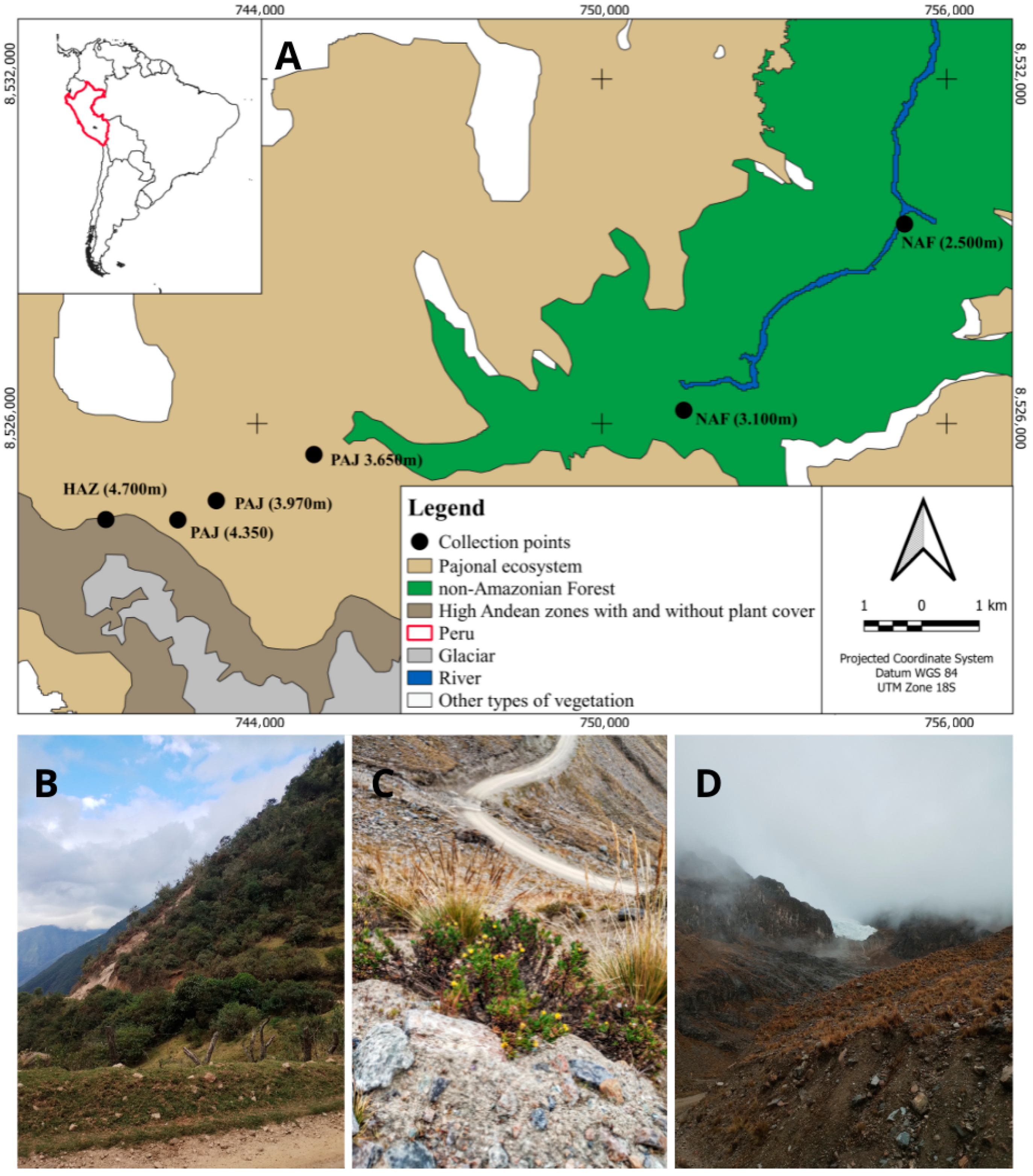 Diversity 17 00745 g001 Diversity 17 00745 g001