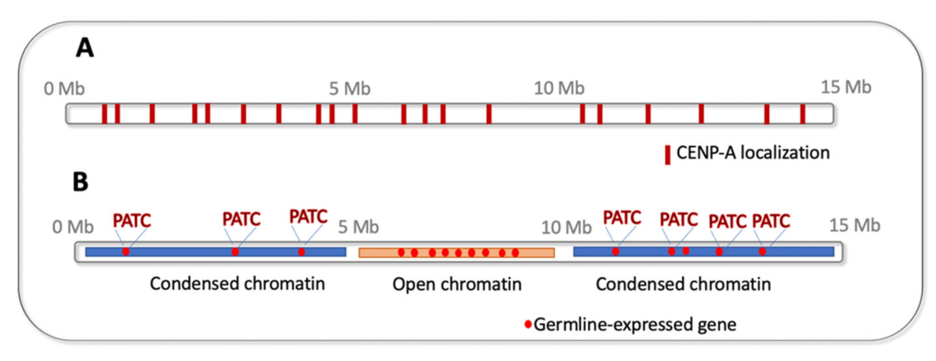 Dna 01 00005 g004