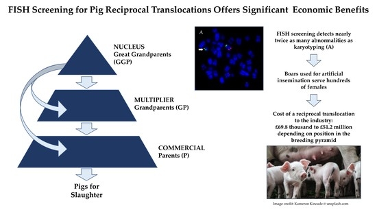 Dna An Open Access Journal From Mdpi