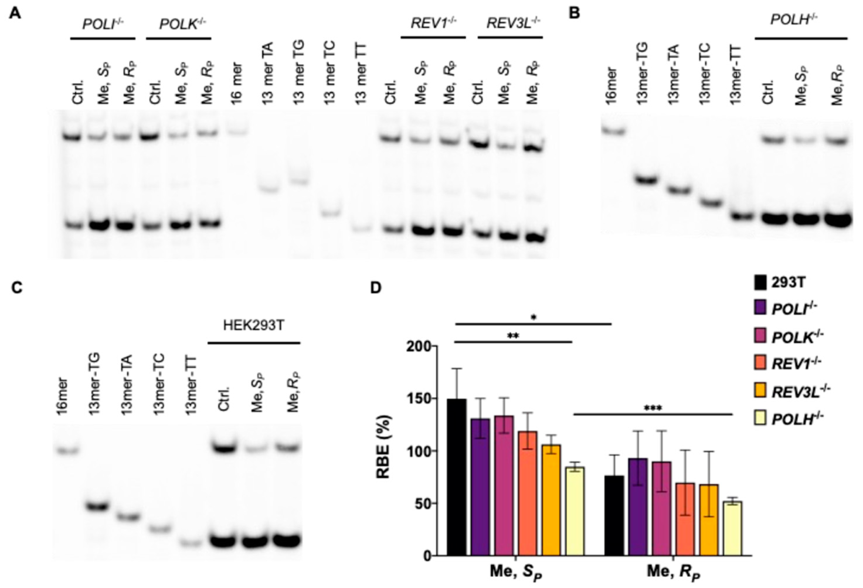 Dna 02 00016 g002 Dna 02 00016 g002