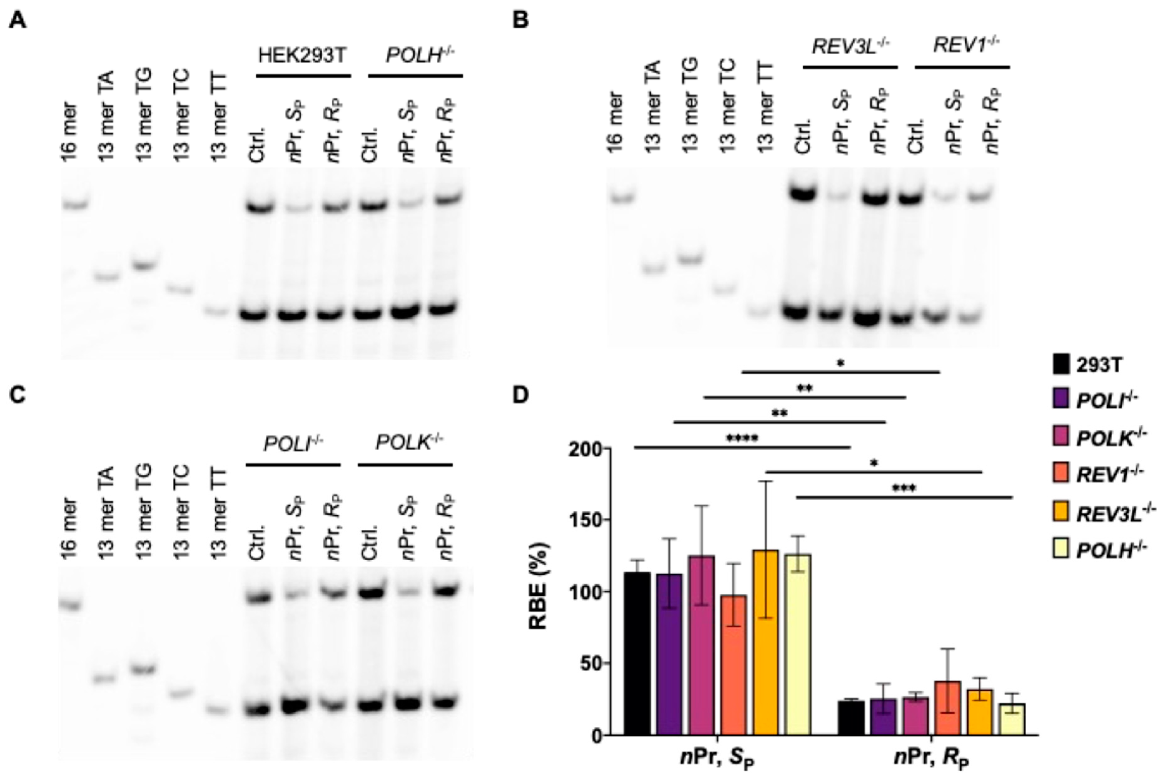 Dna 02 00016 g003 Dna 02 00016 g003