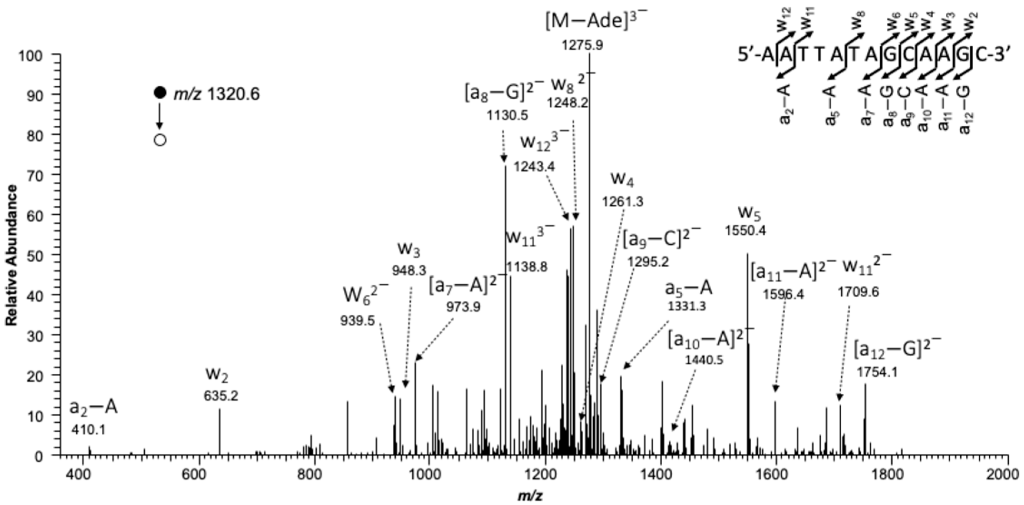 Dna 02 00016 g005 Dna 02 00016 g005