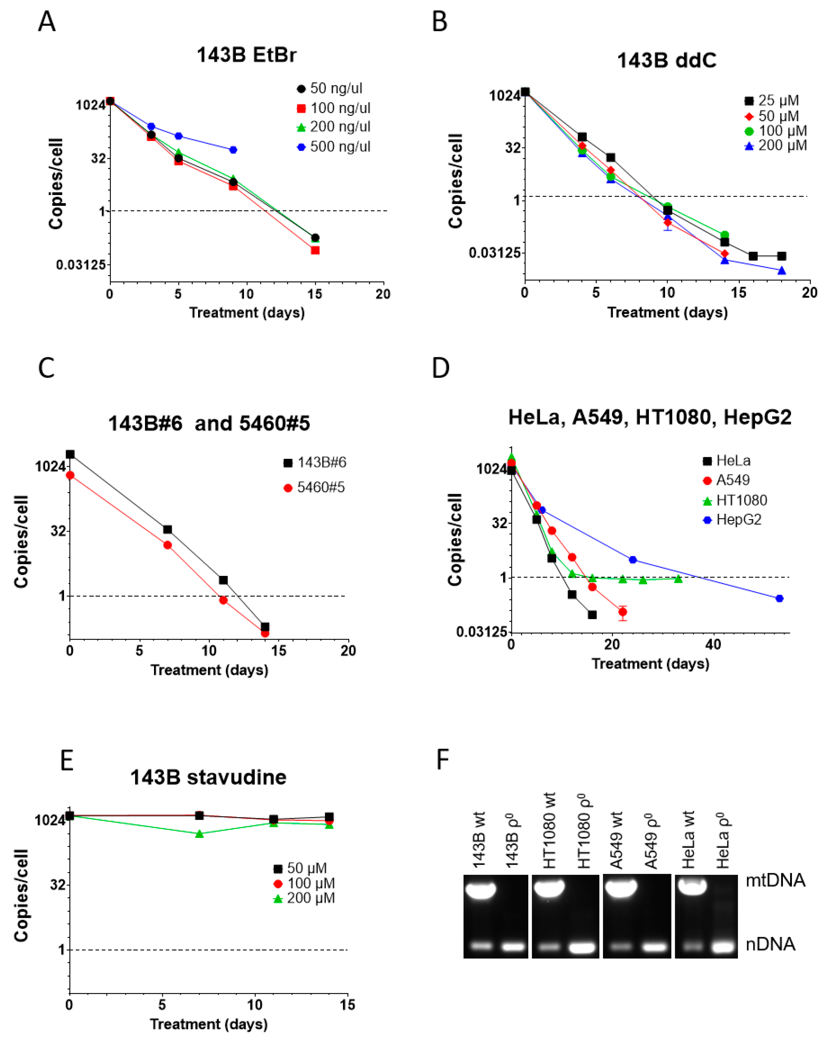 Dna 04 00013 g002 Dna 04 00013 g002