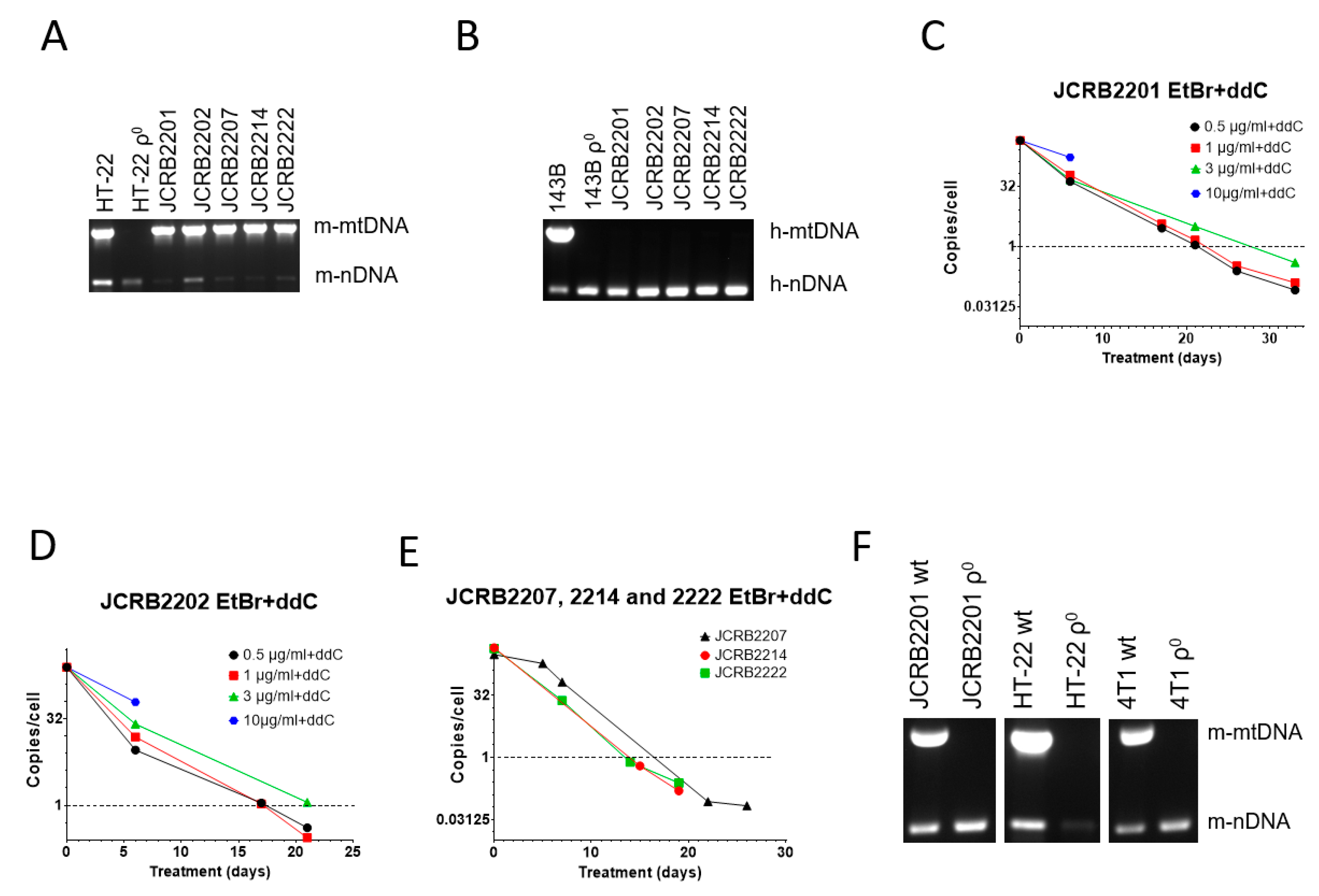 Dna 04 00013 g003 Dna 04 00013 g003