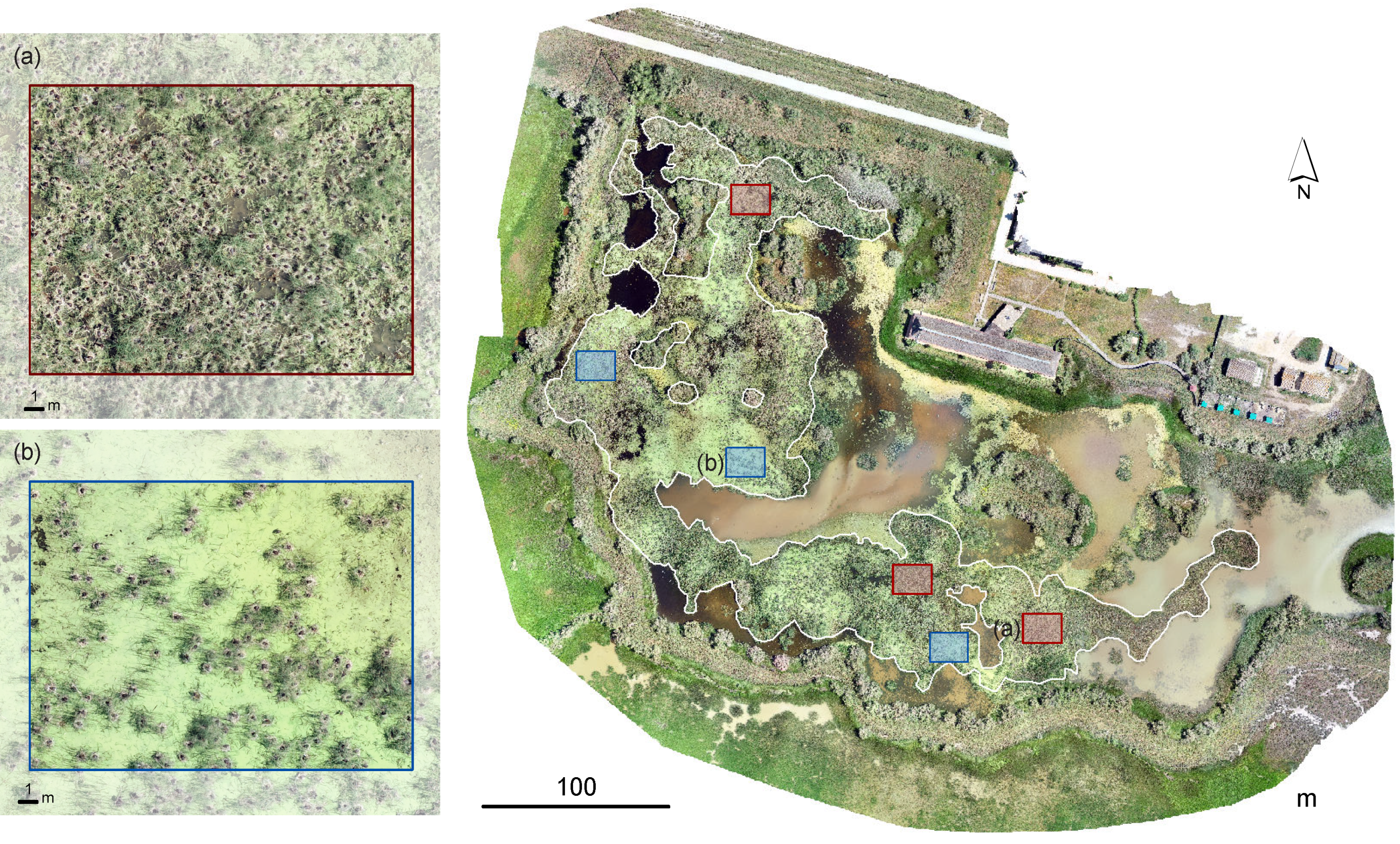 Drones Free Full Text Drone Monitoring Of Breeding Waterbird - figures