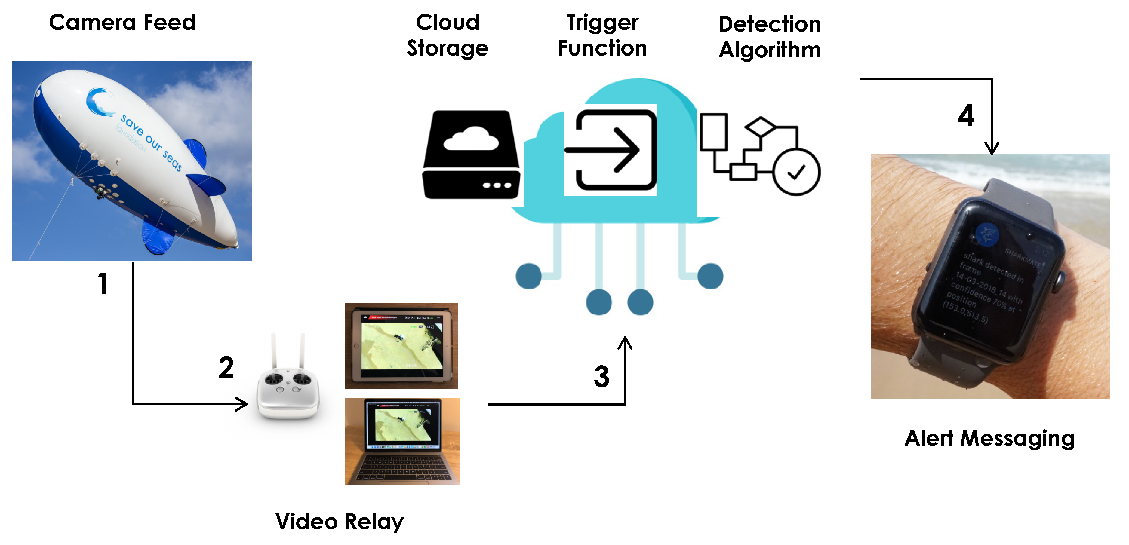 Drones Free Full Text Sharkeye Real Time Autonomous Personal Shark Alerting Via Aerial Surveillance Html