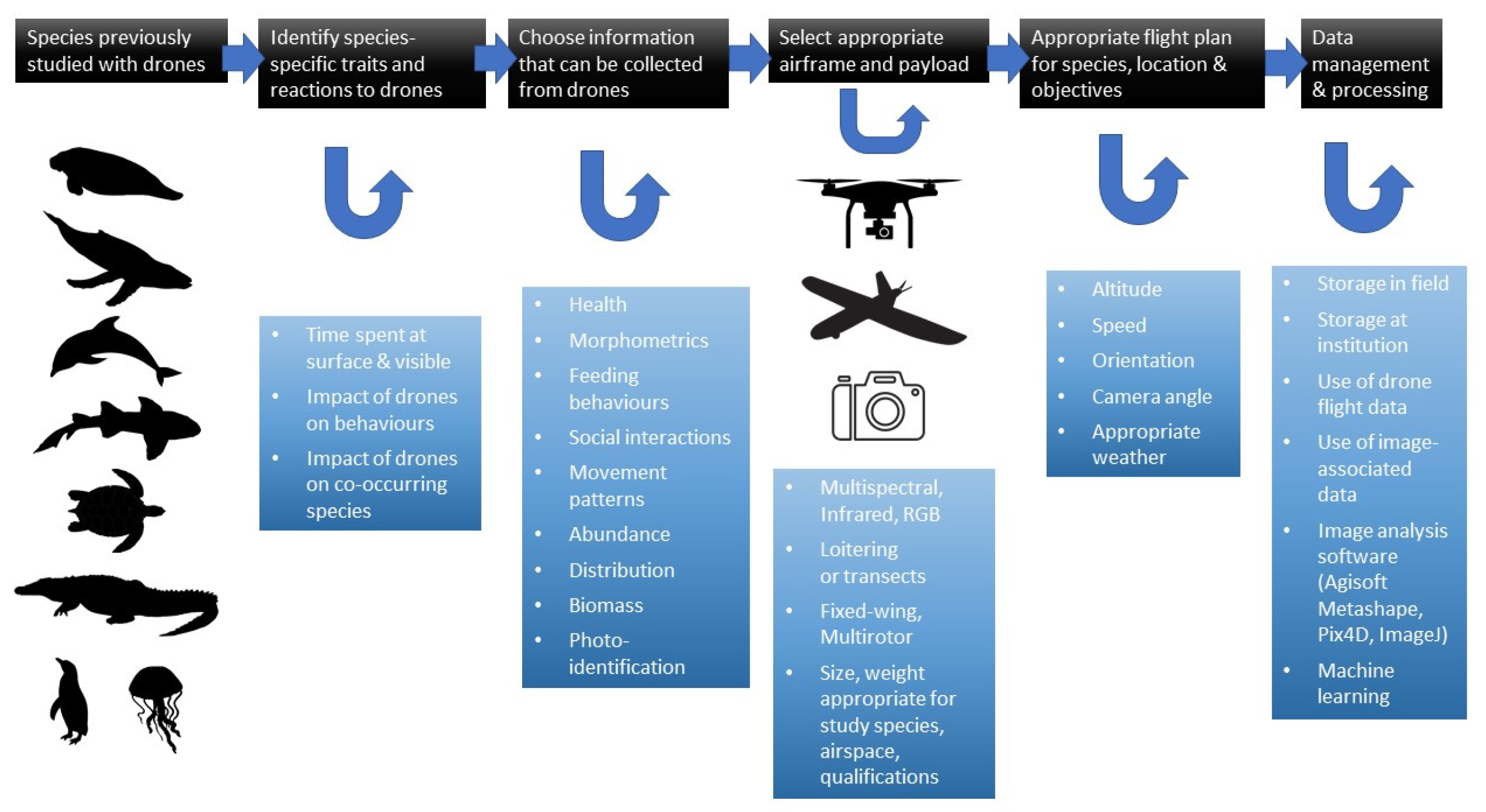 Drones Free Full Text Operational Protocols For The Use Of Drones In Marine Animal Research Html