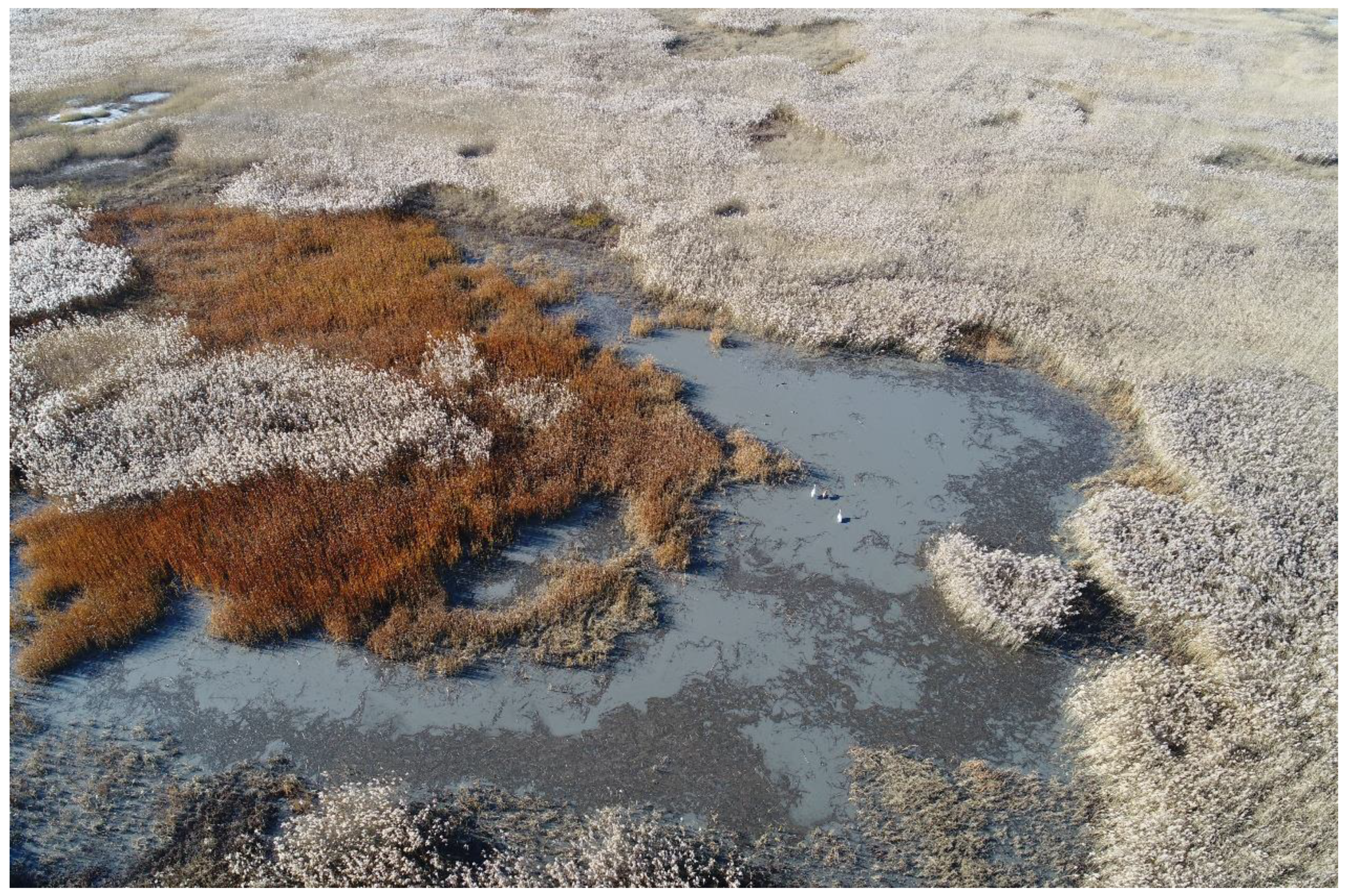 Drones 05 00102 g006