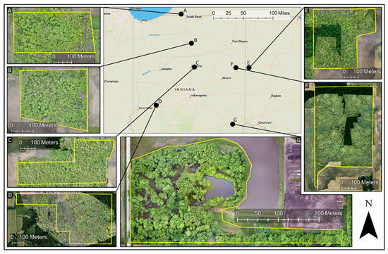 Drones Free Full Text Precise Quantification of Land Cover