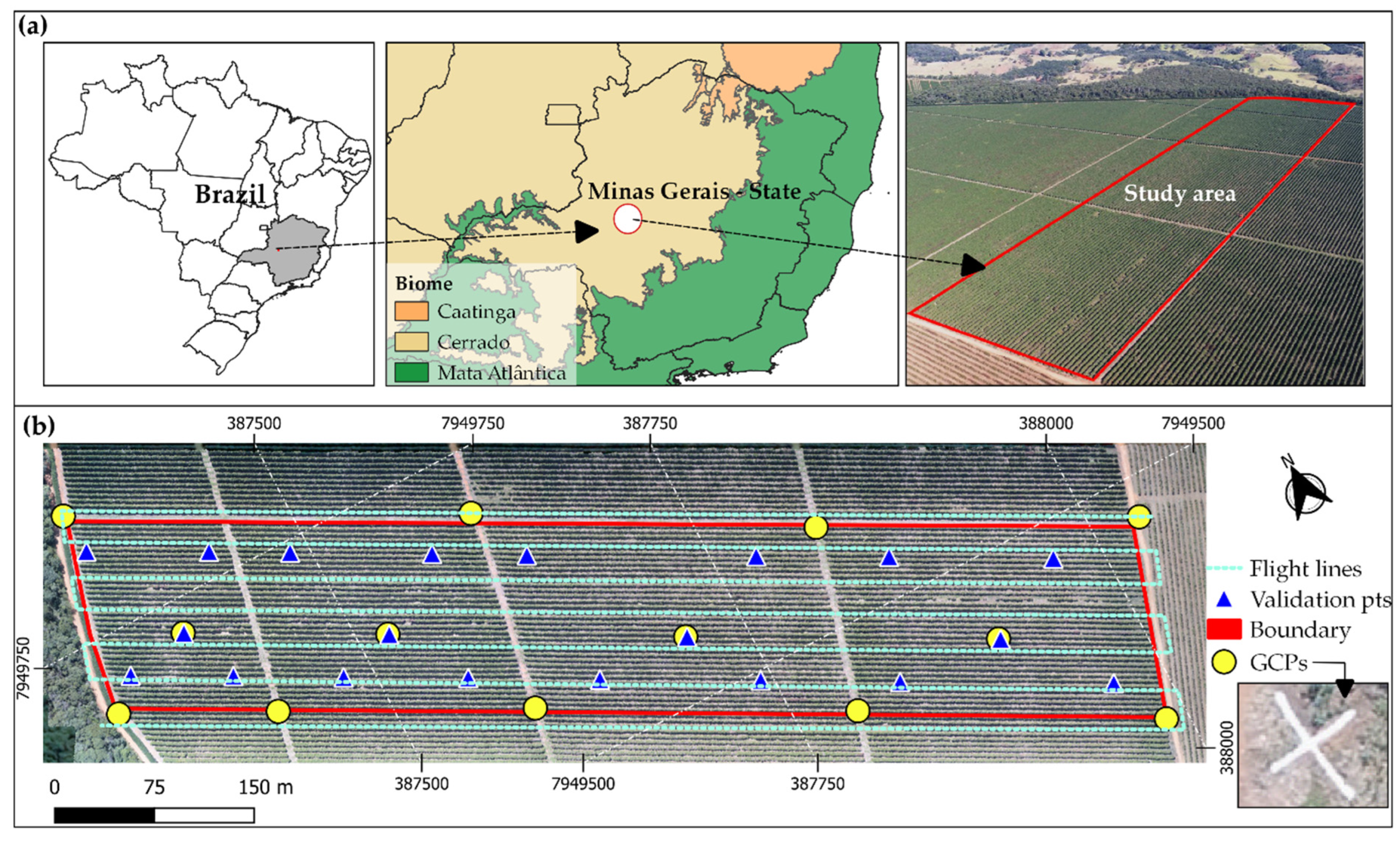 Drones 06 00267 g001