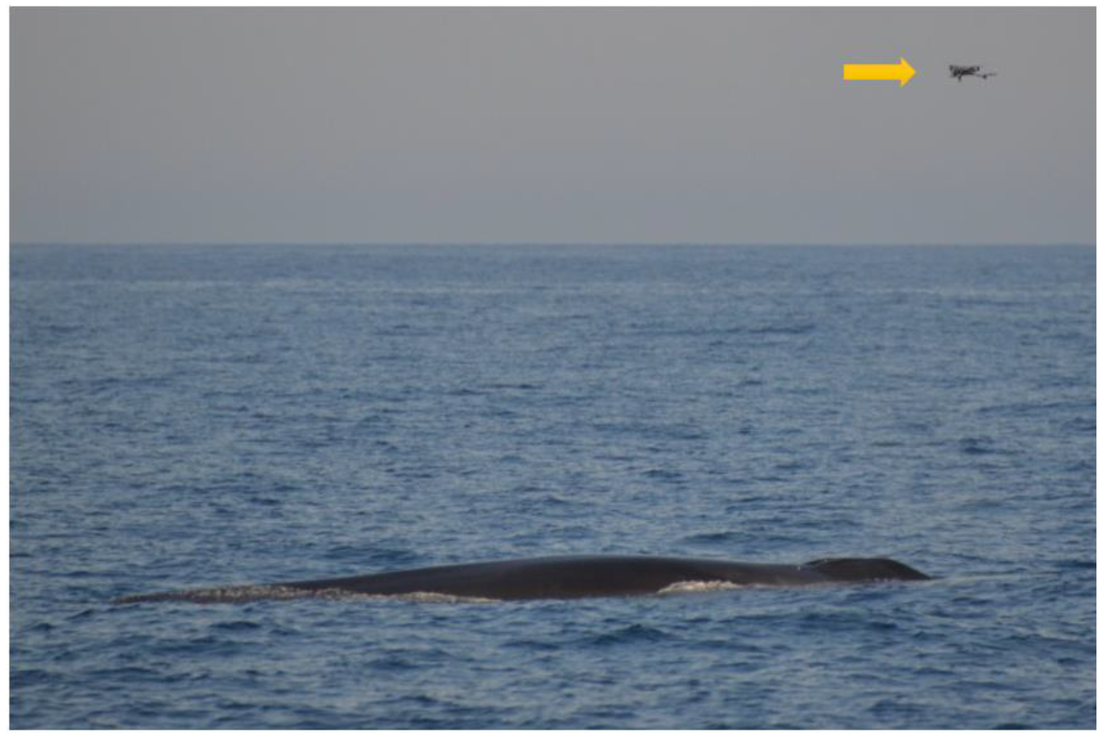 Drones 07 00220 g002 Drones 07 00220 g002