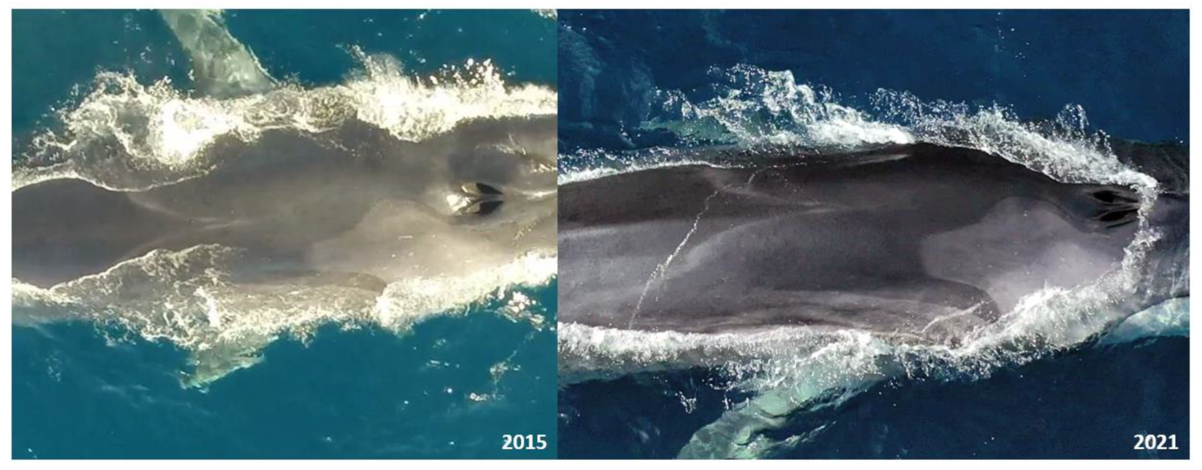 Drones 07 00220 g005 Drones 07 00220 g005