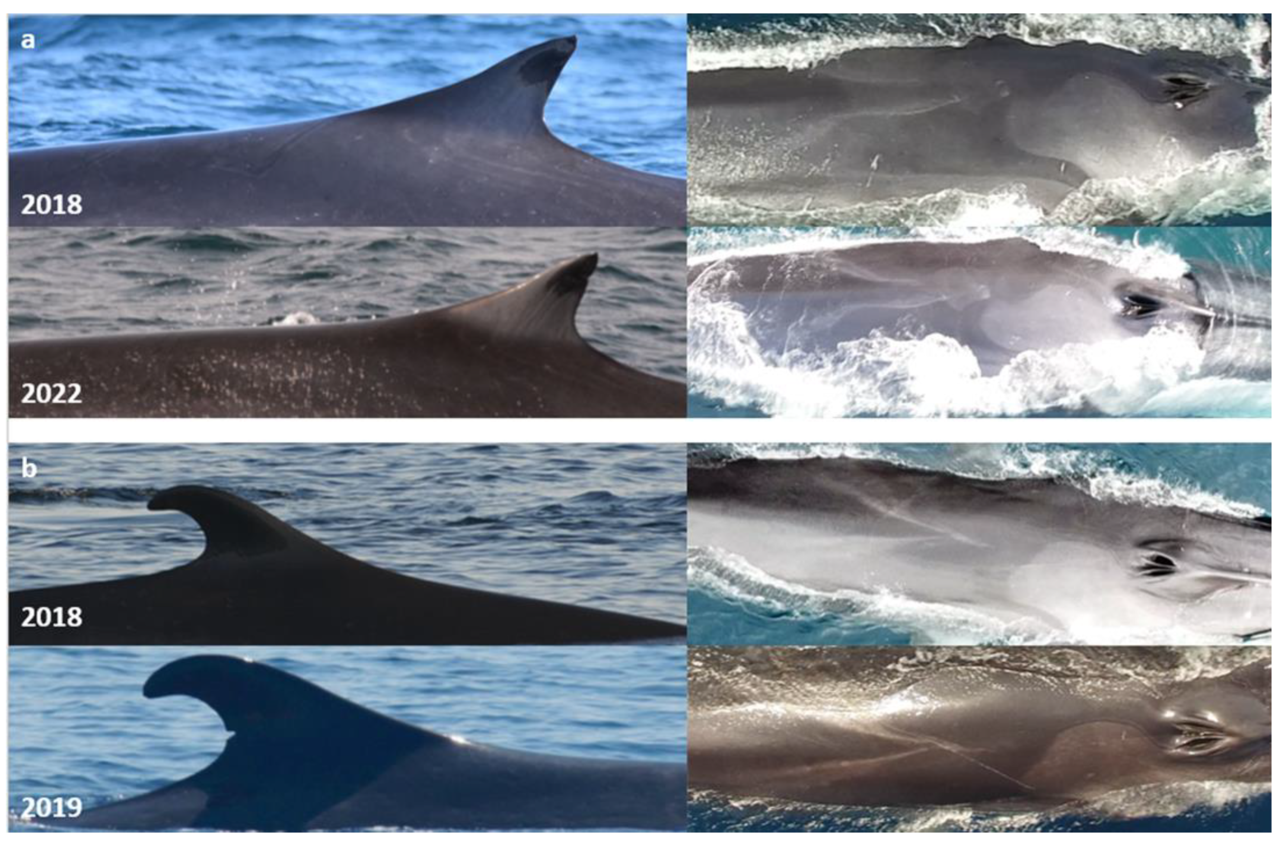 Drones 07 00220 g006 Drones 07 00220 g006