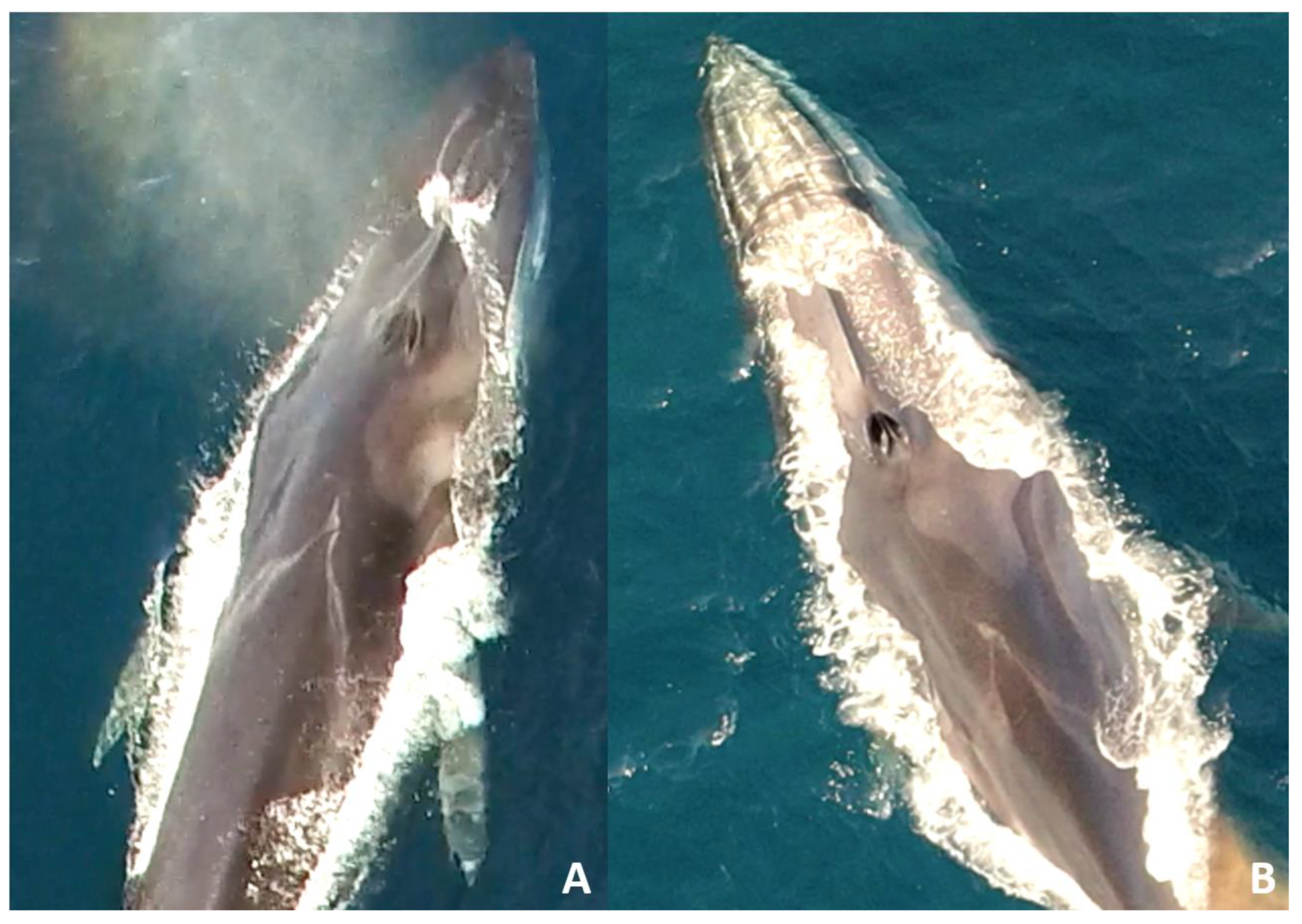 Drones 07 00220 g008 Drones 07 00220 g008