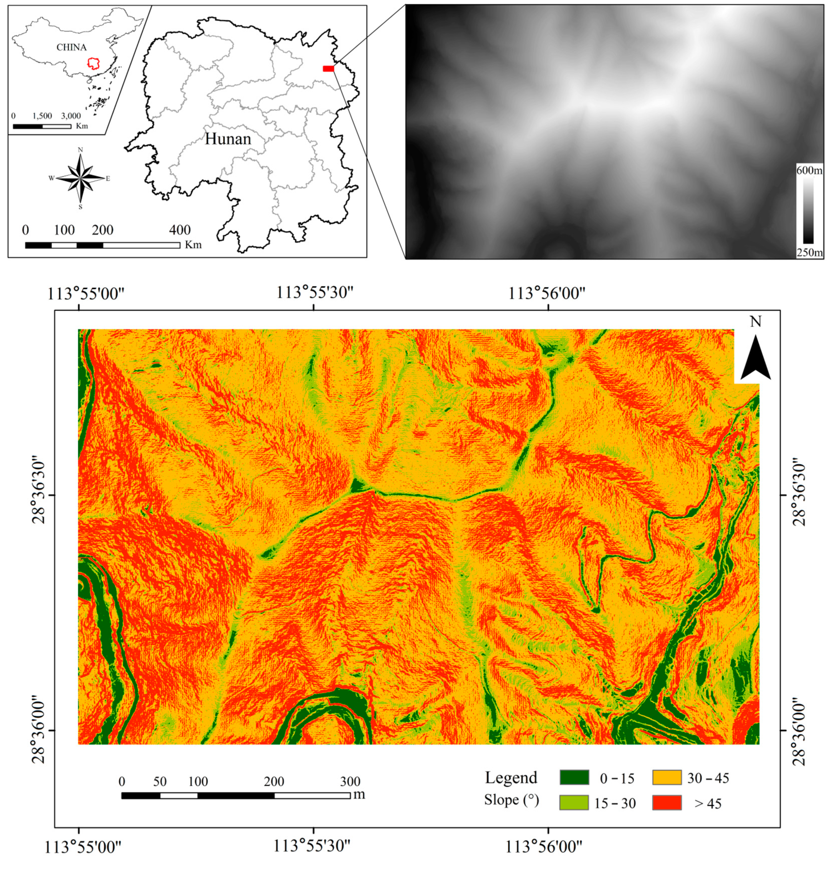 Forest in situ observations using unmanned aerial vehicle as an