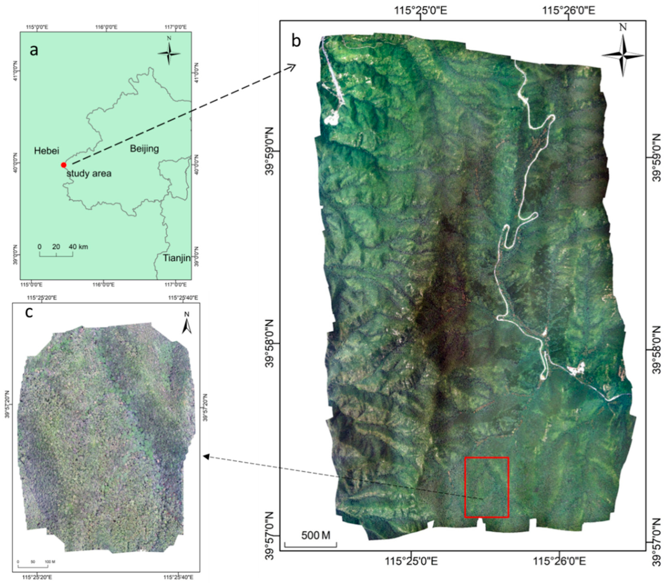 Drones 07 00353 g001