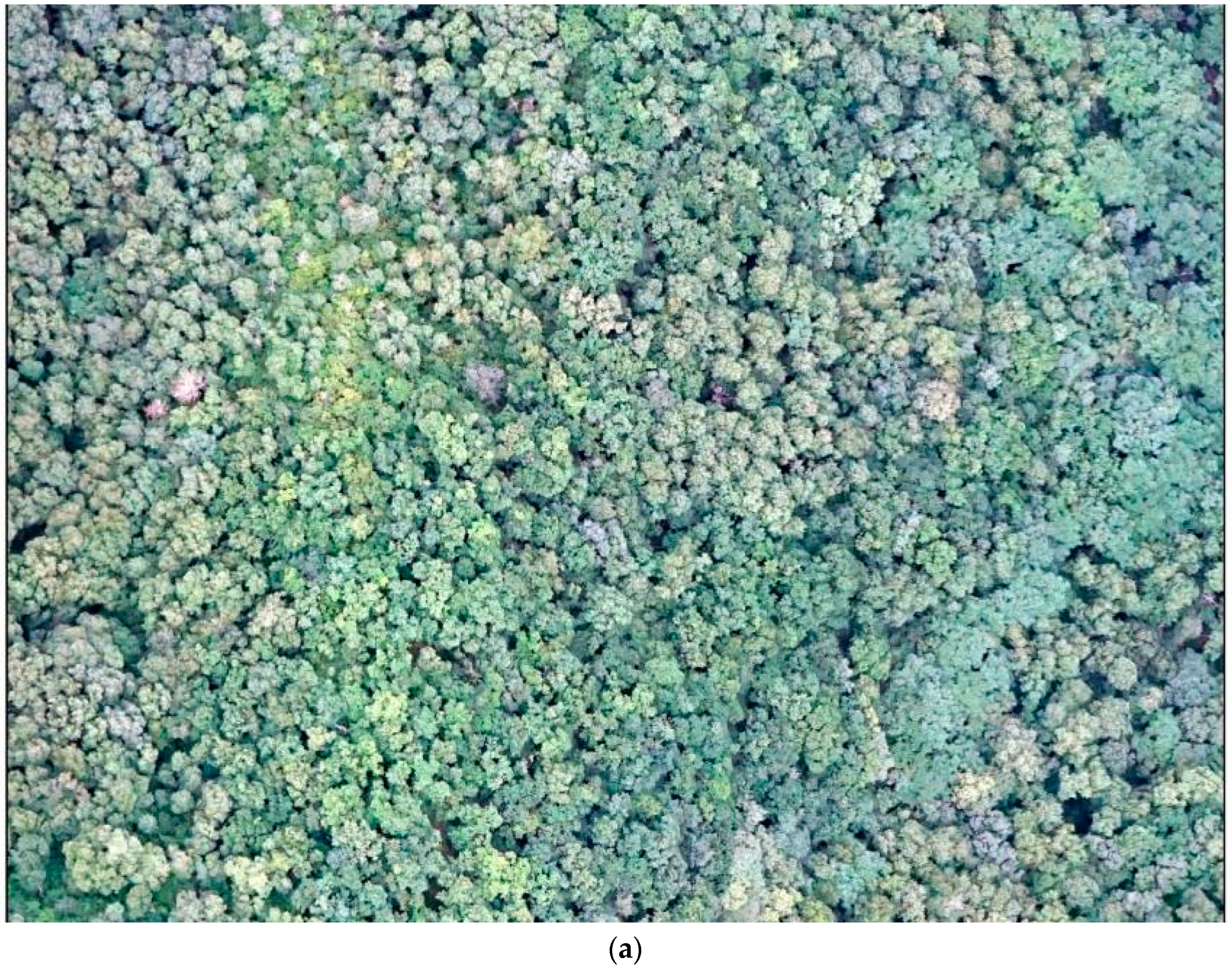 Drones 07 00353 g003a