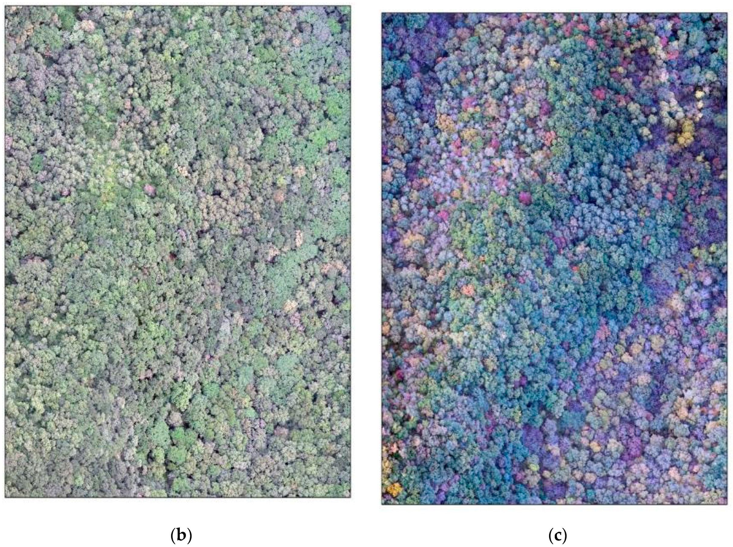 Drones 07 00353 g003b