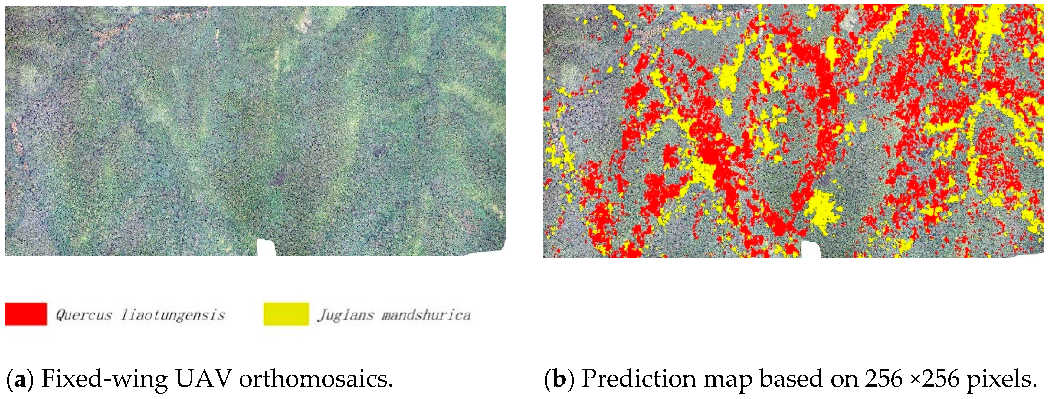 Drones 07 00353 g007