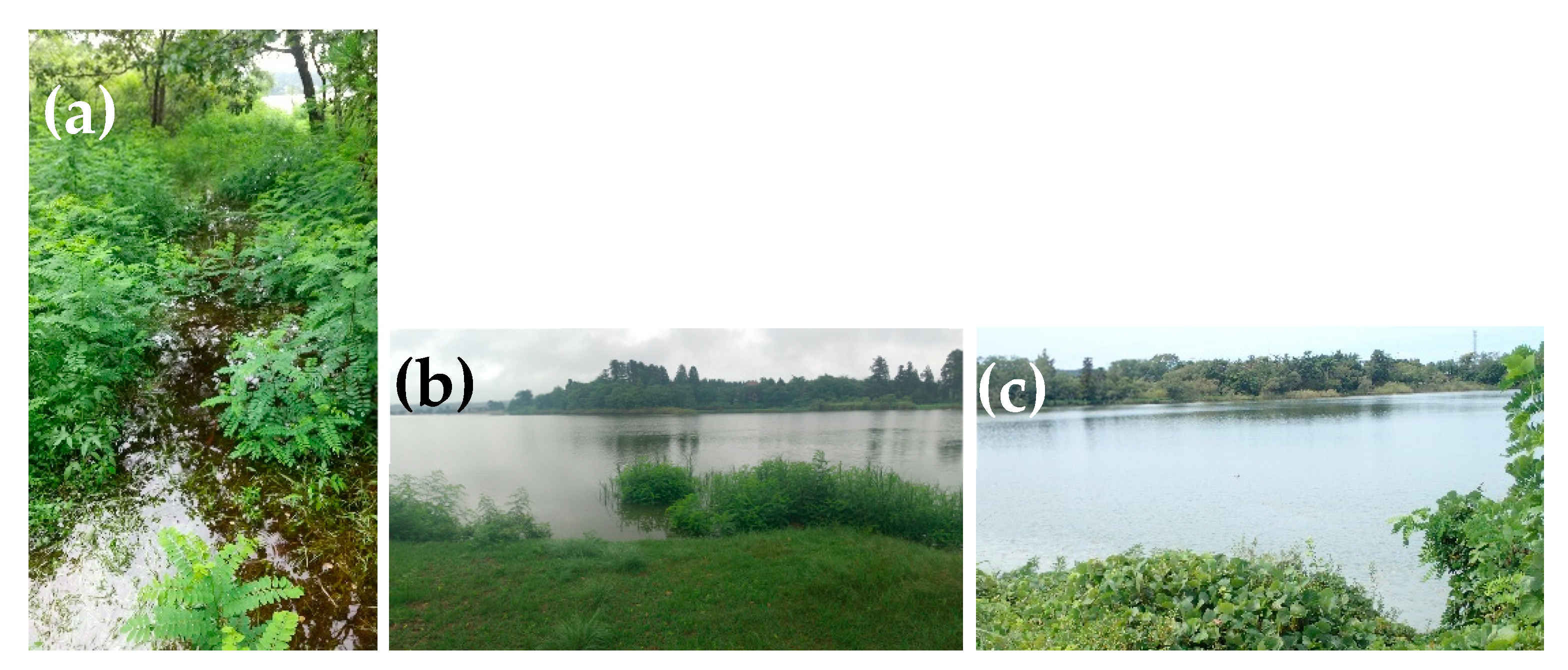 Drones 08 00038 g021