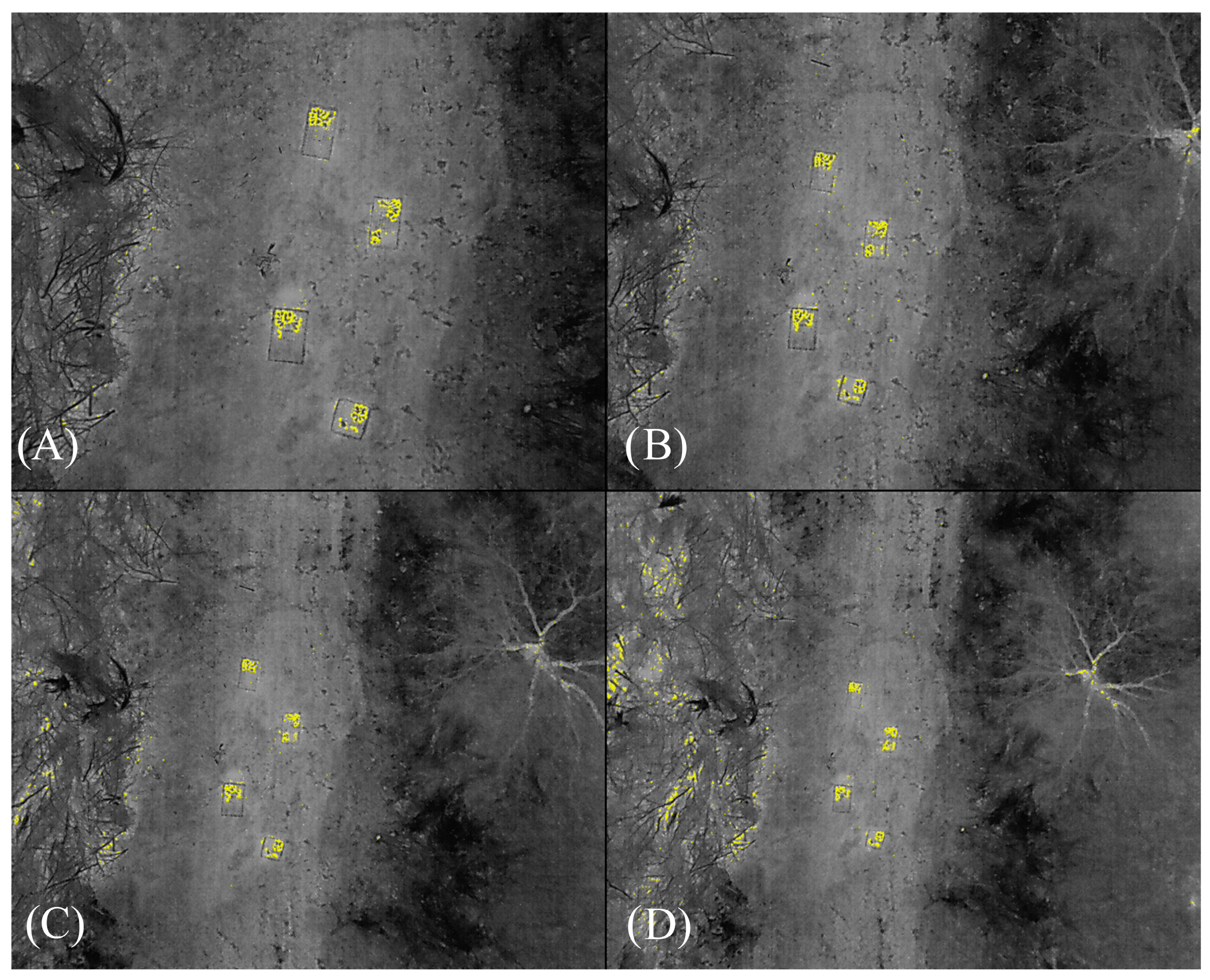 Drones 08 00064 g003