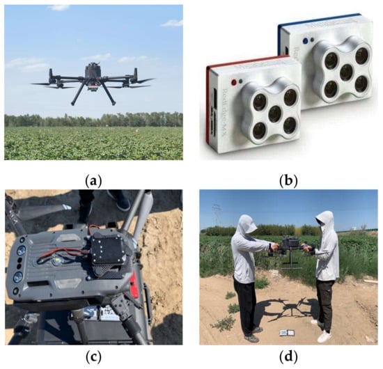 Drones | Free Full-Text | Assessing the Severity of Verticillium Wilt ...