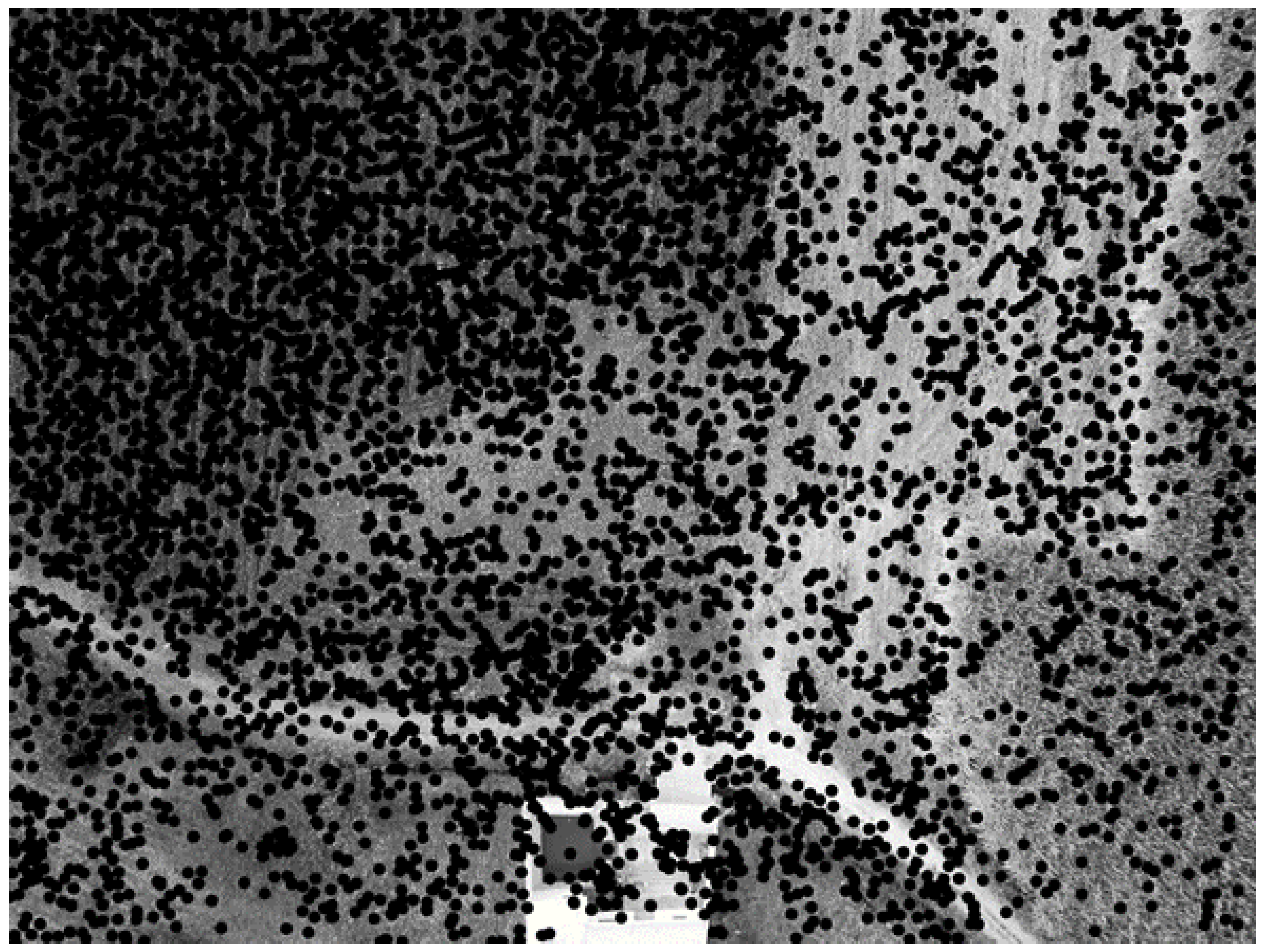 Drones 08 00195 g0a2 Drones 08 00195 g0a2