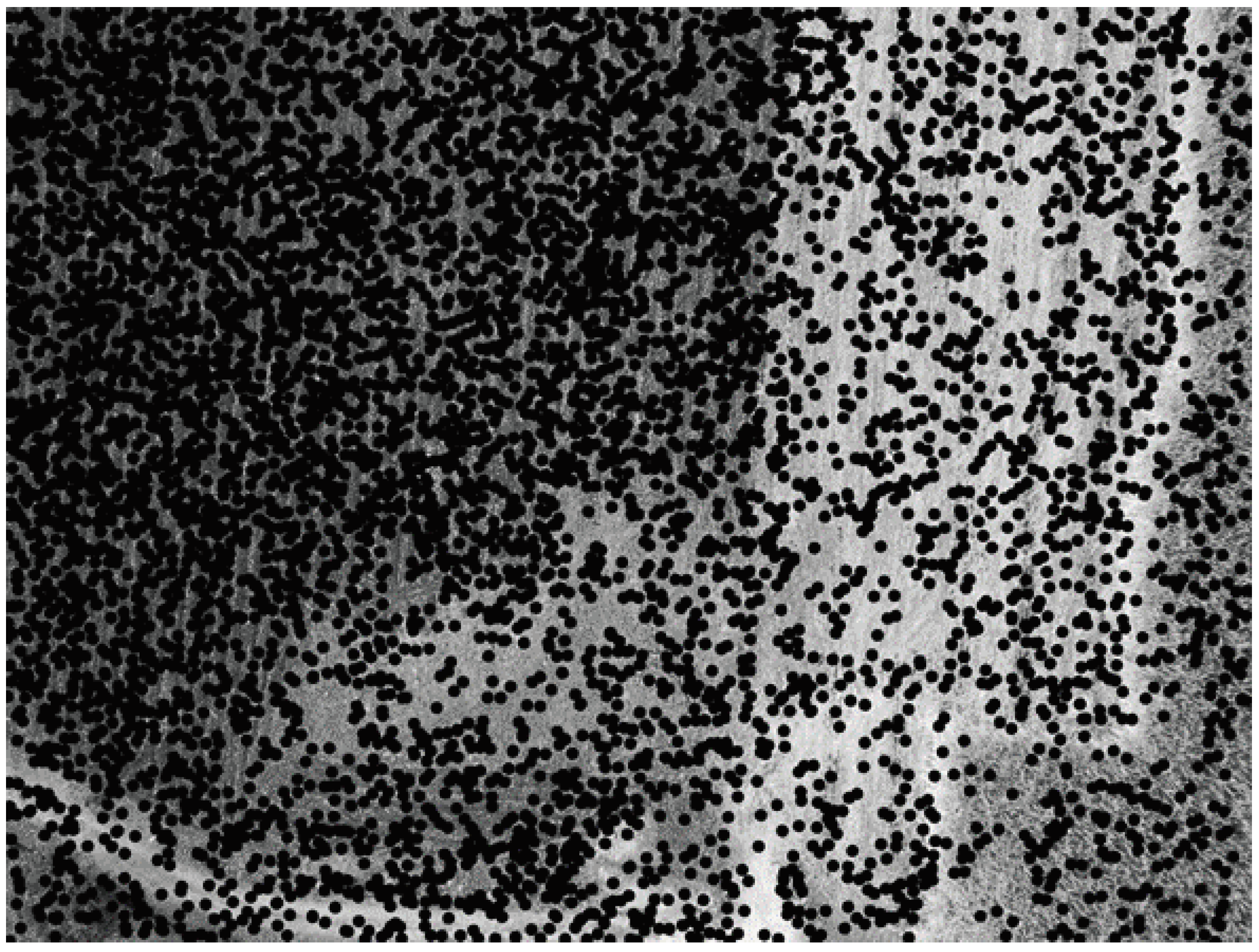 Drones 08 00195 g0a3 Drones 08 00195 g0a3