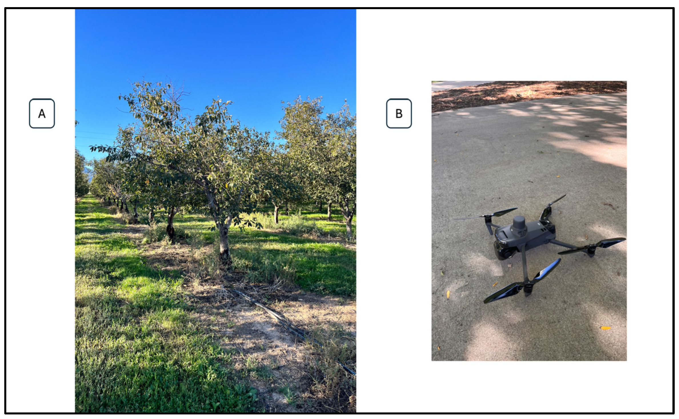 Drones 08 00494 g003