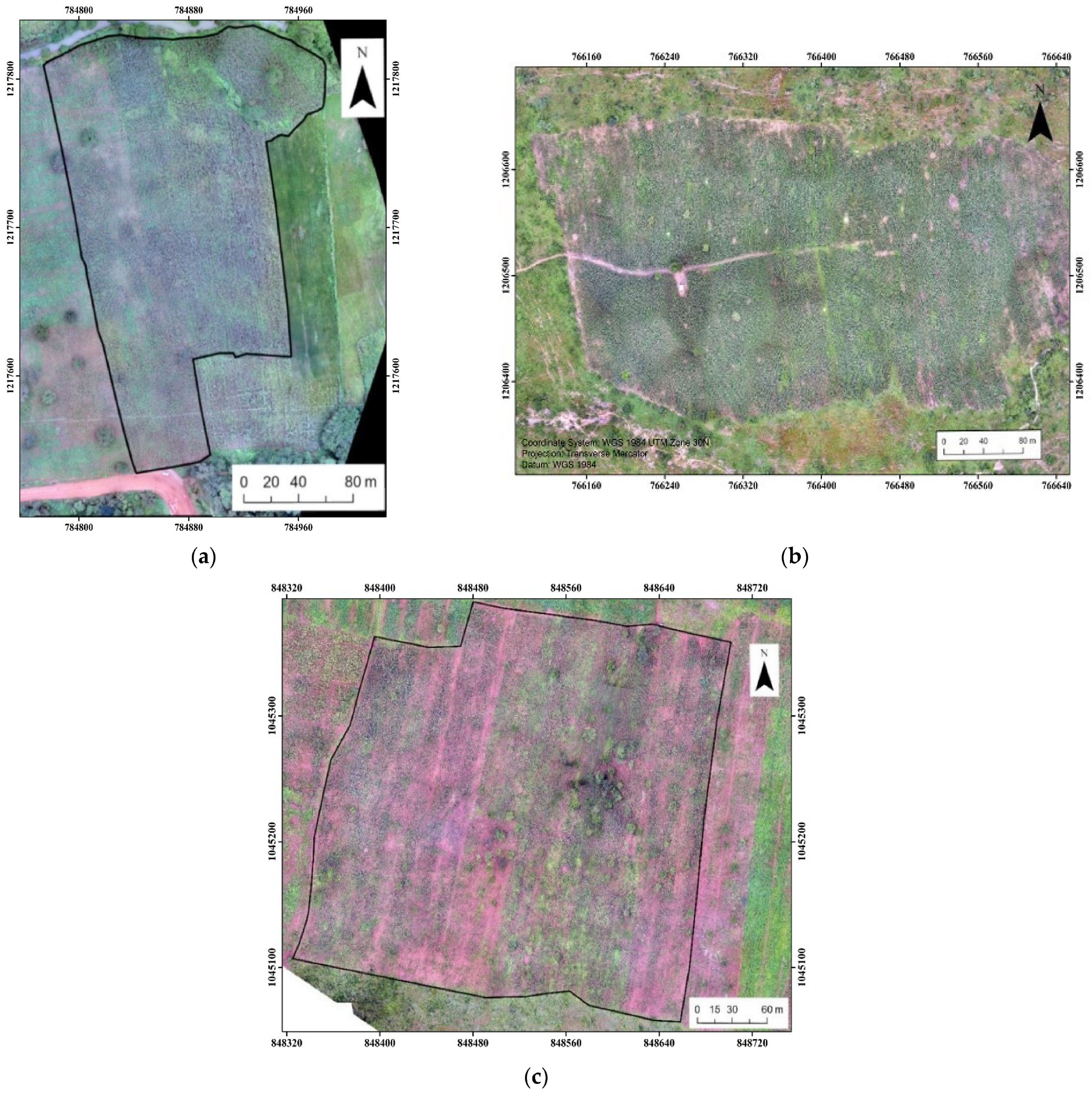 Drones 08 00633 g003