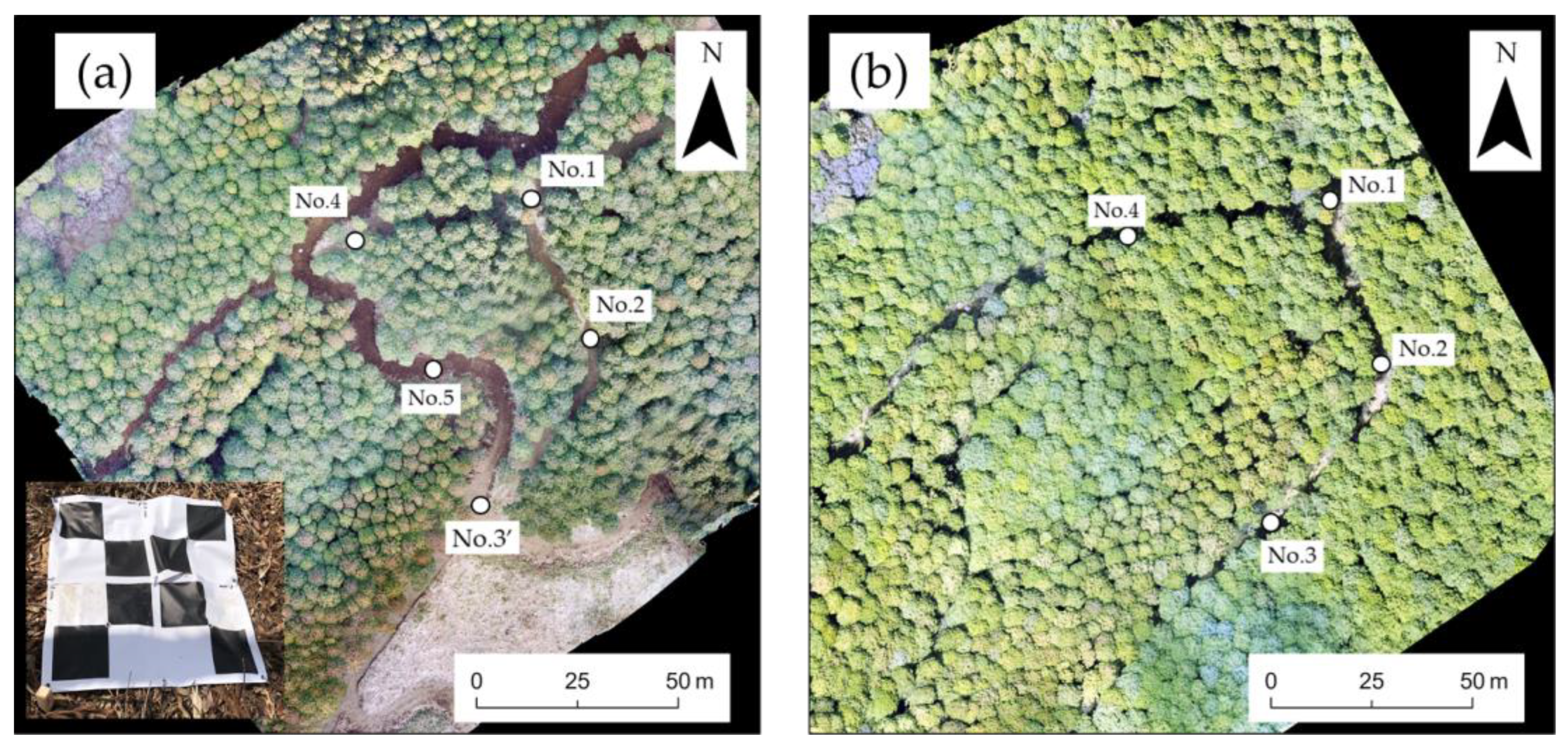 Drones 09 00258 g002