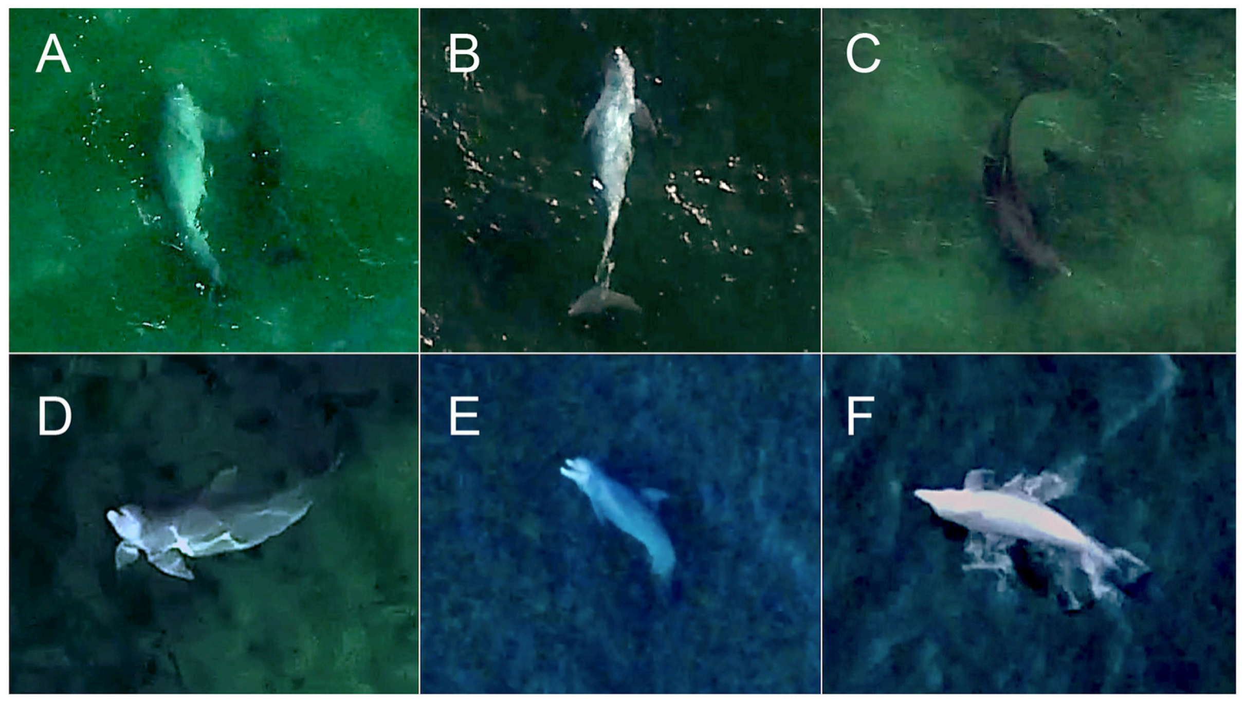 Drones 09 00311 g005