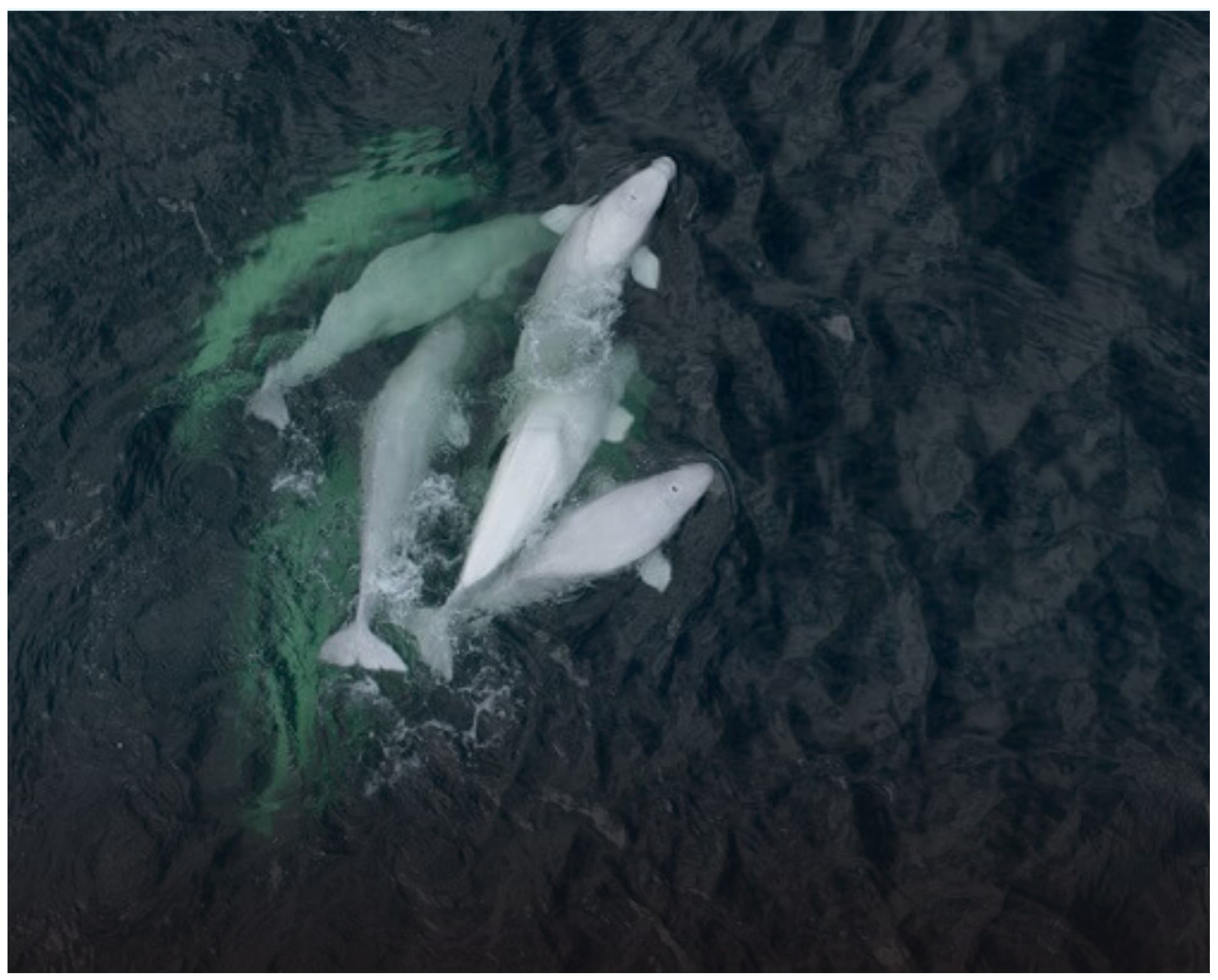 Drones 09 00311 g007