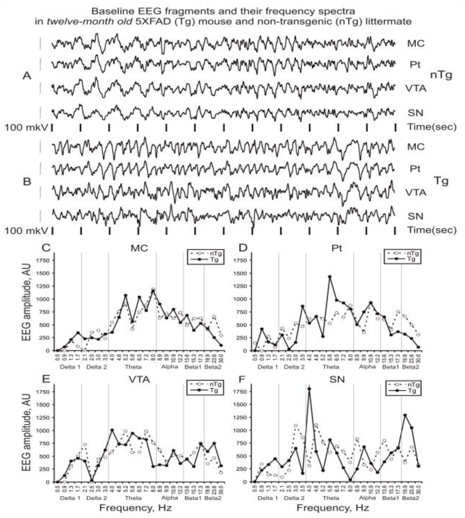 Dynamics 02 00020 g001