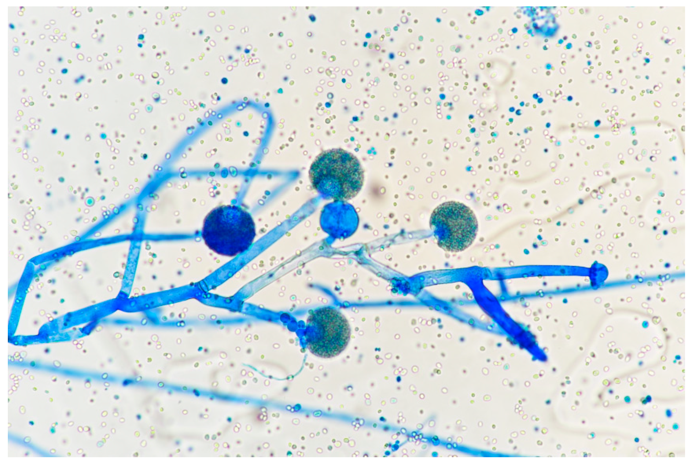 Ebj 02 00013 g004 Ebj 02 00013 g004