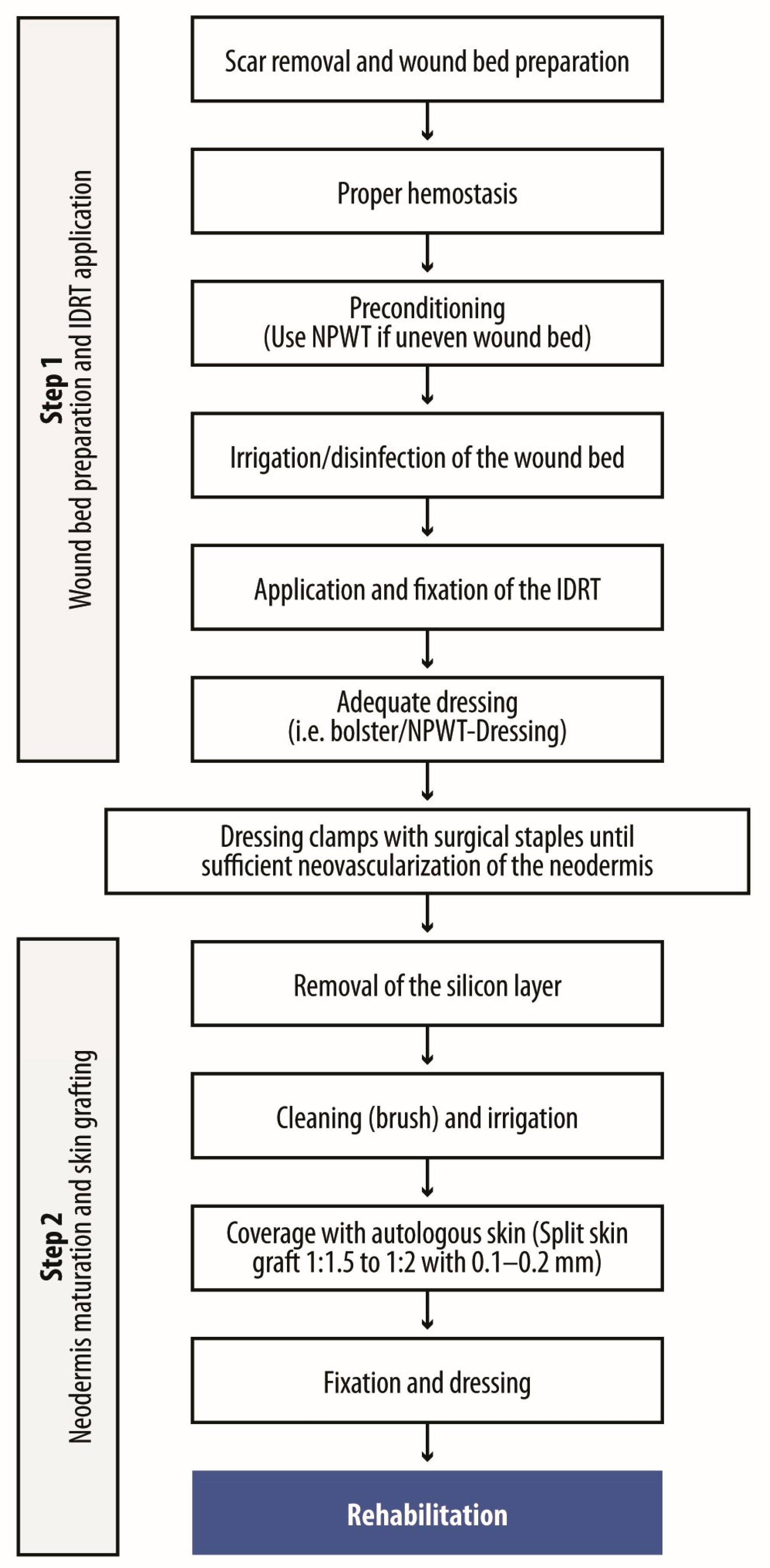 Ebj 06 00045 g004 Ebj 06 00045 g004