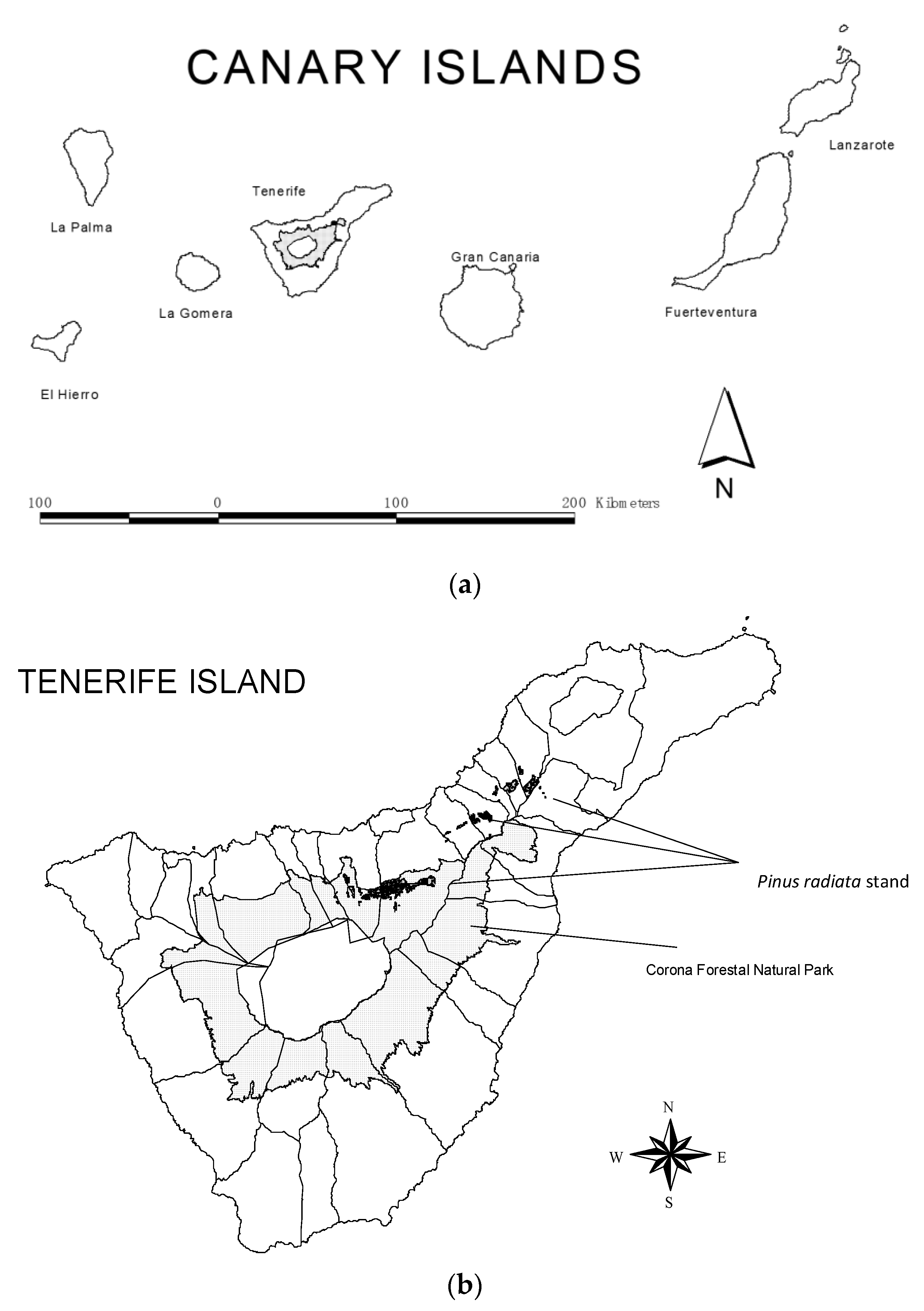 Ecologies Free Full Text Asexual Regeneration Response Of Ilex Canariensis Poir To Management Of The Canopy Of Pinus Radiata D Don Html