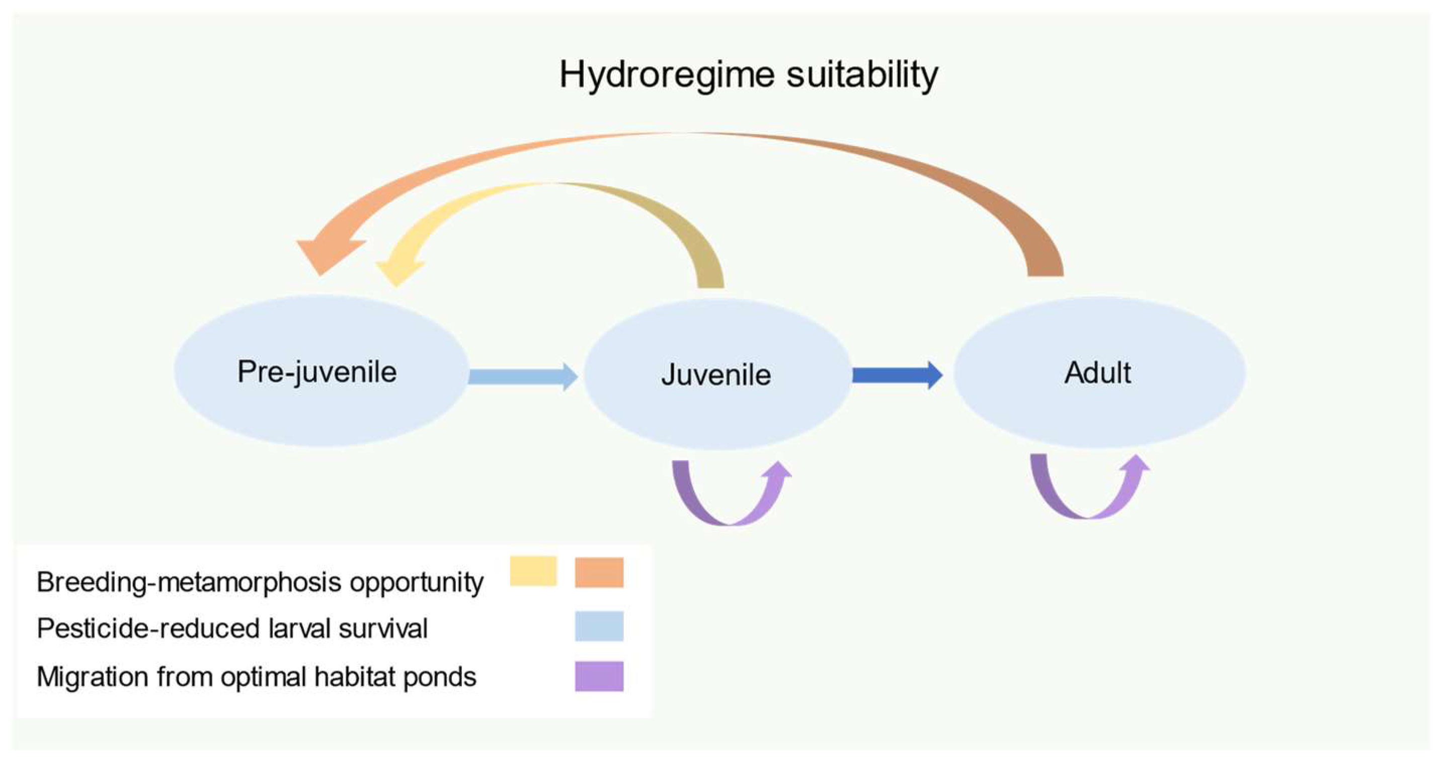 Ecologies | Free Full-Text | Projected Climate and Hydroregime