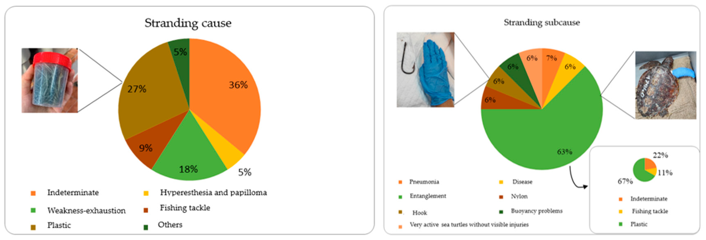 Ecologies 06 00009 g0a1