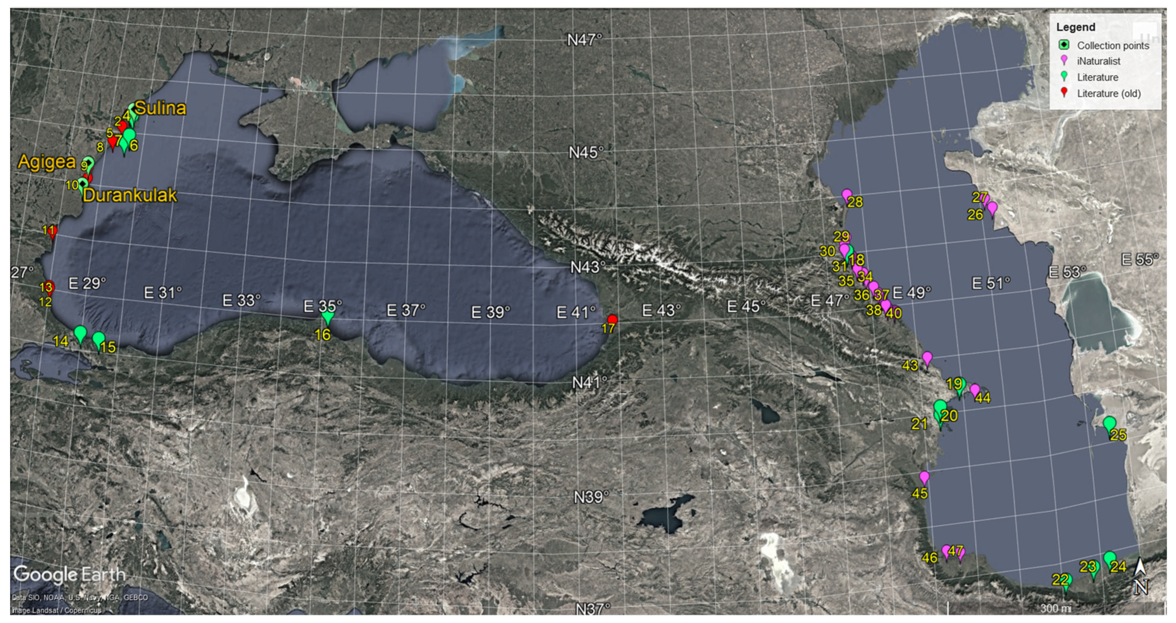 Ecologies 06 00018 g001 Ecologies 06 00018 g001