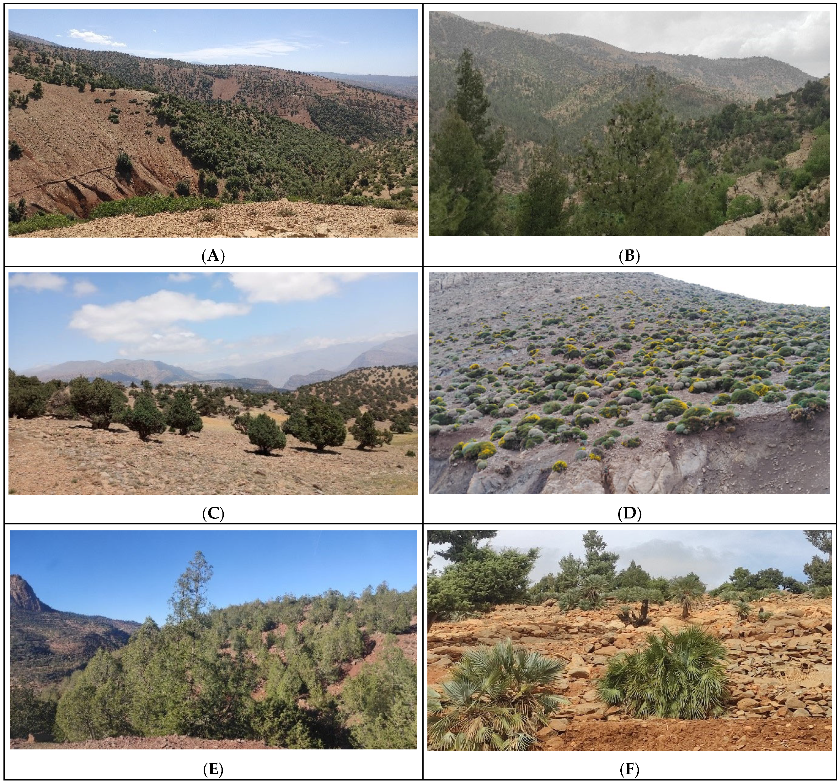 Ecologies 06 00029 g015