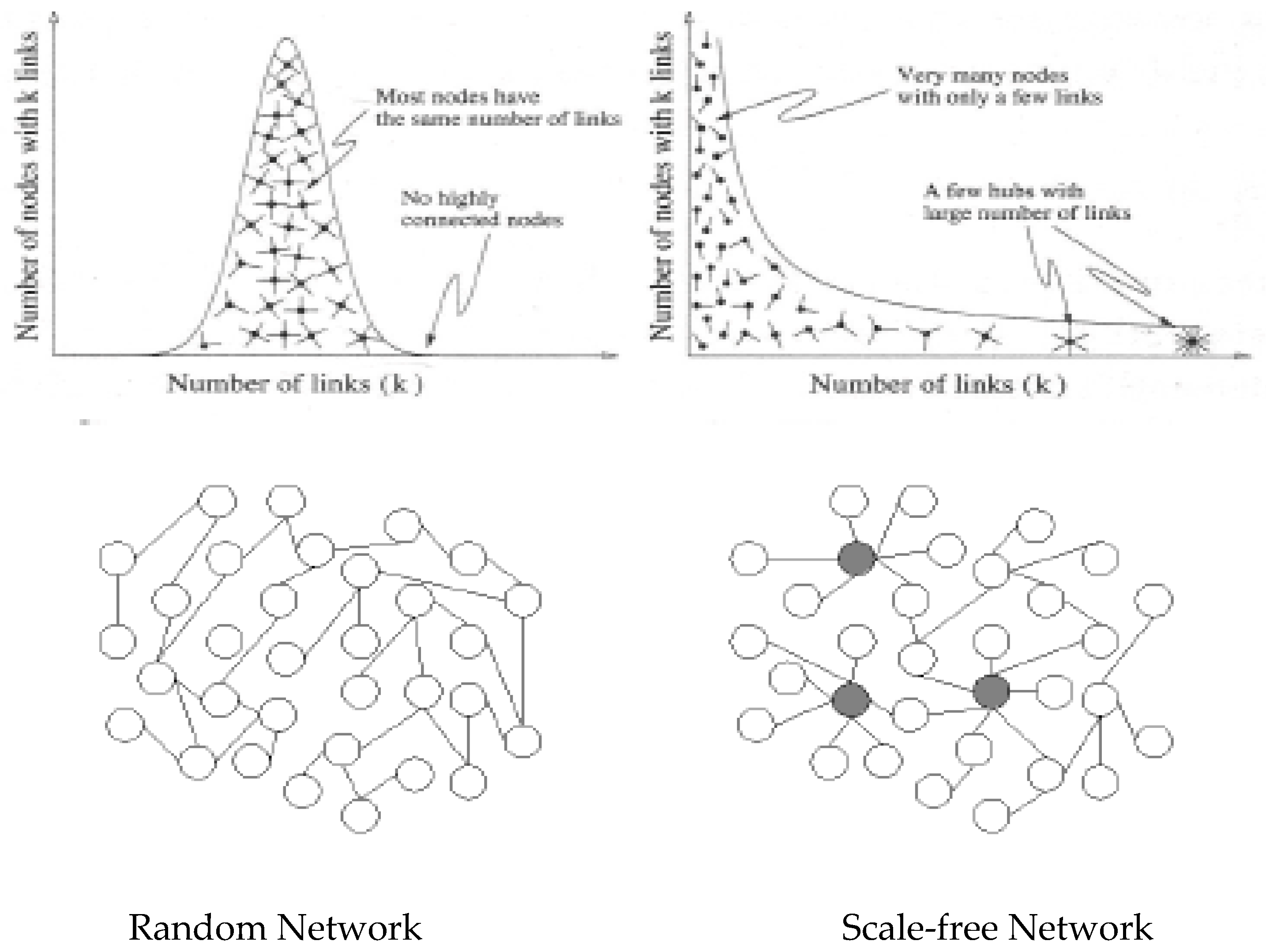 Economies 12 00232 g001