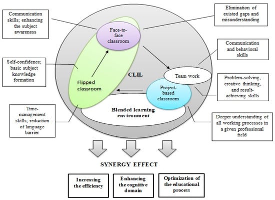 Canadian Occupational Performance and Engagement Model - InfOT