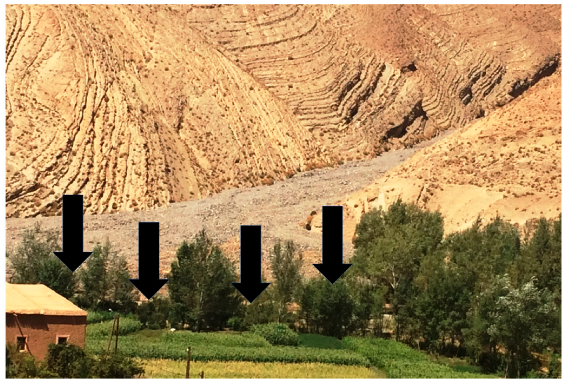 Education 12 00772 g006 Education 12 00772 g006