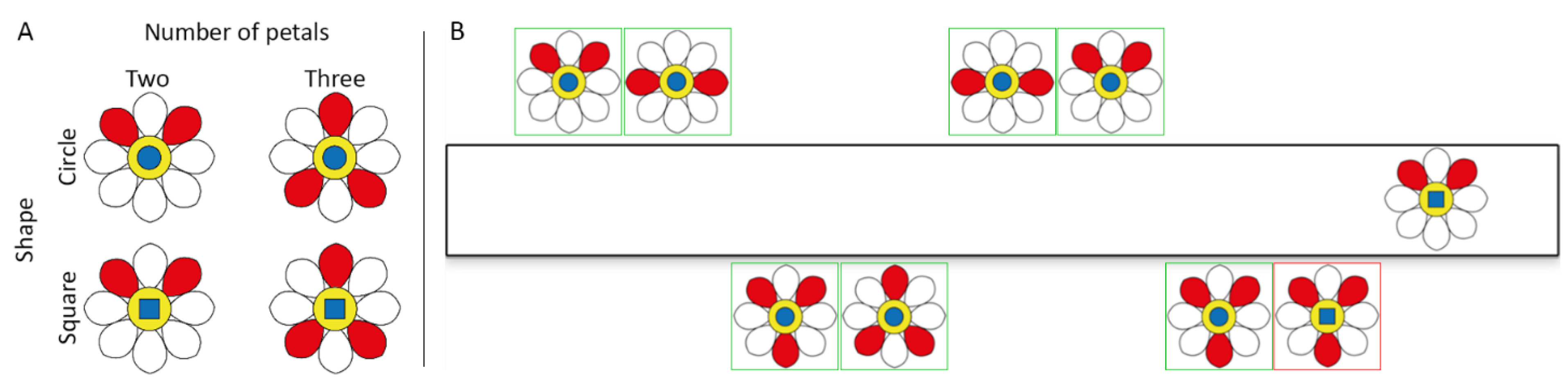 Education 12 00775 g001