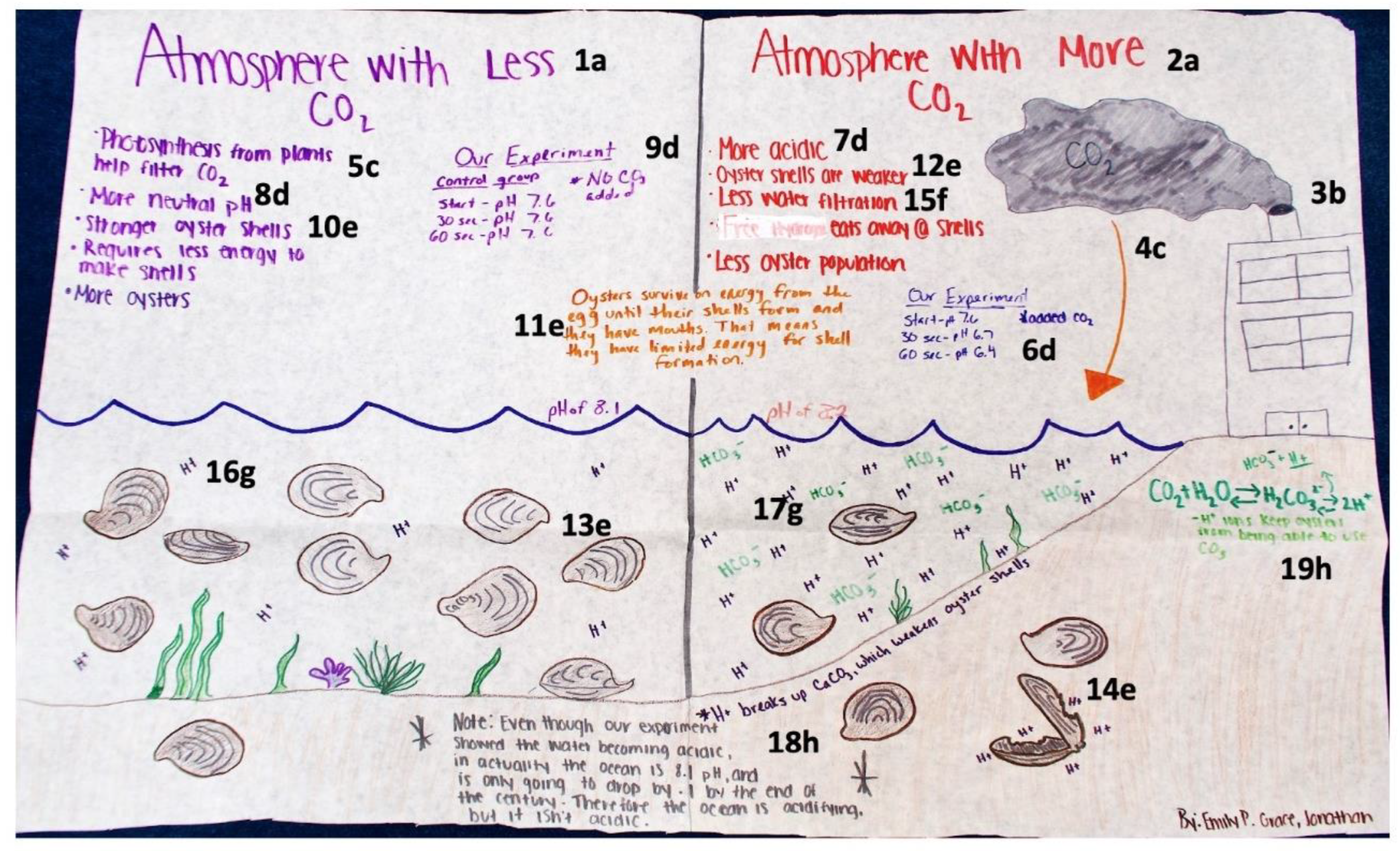 Education 13 00496 g003