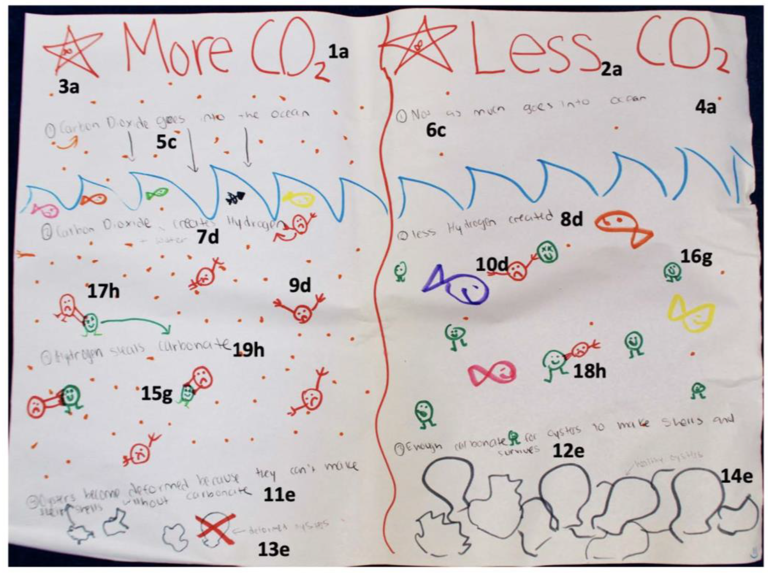 Education 13 00496 g004