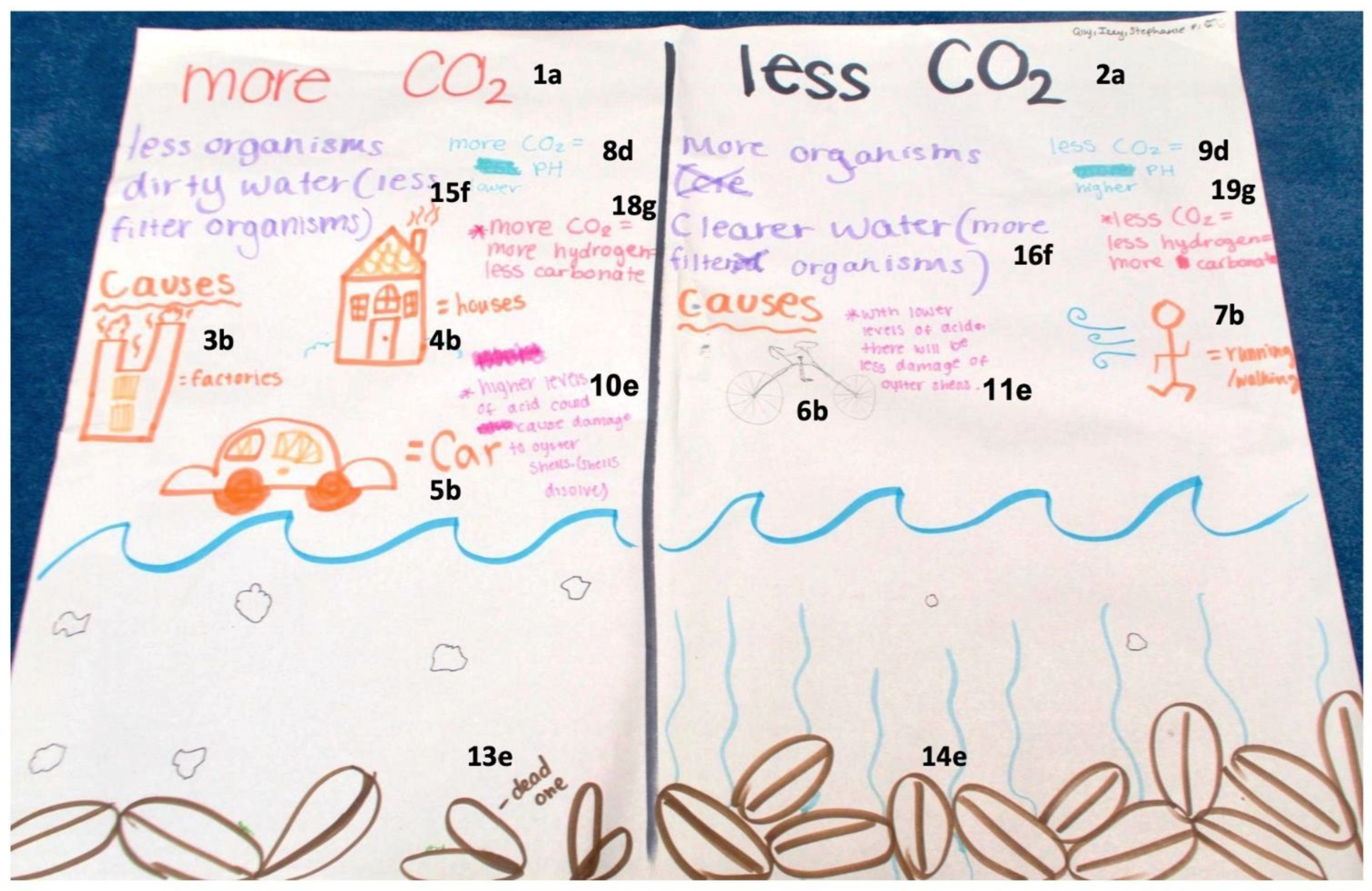 Education 13 00496 g005