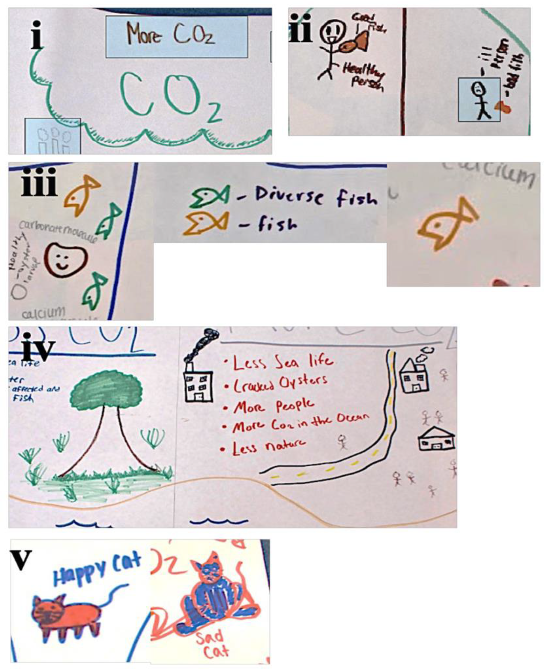 Education 13 00496 g007