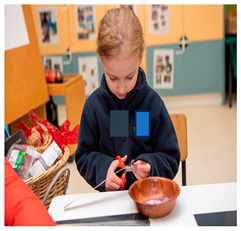 Education 14 00100 i008